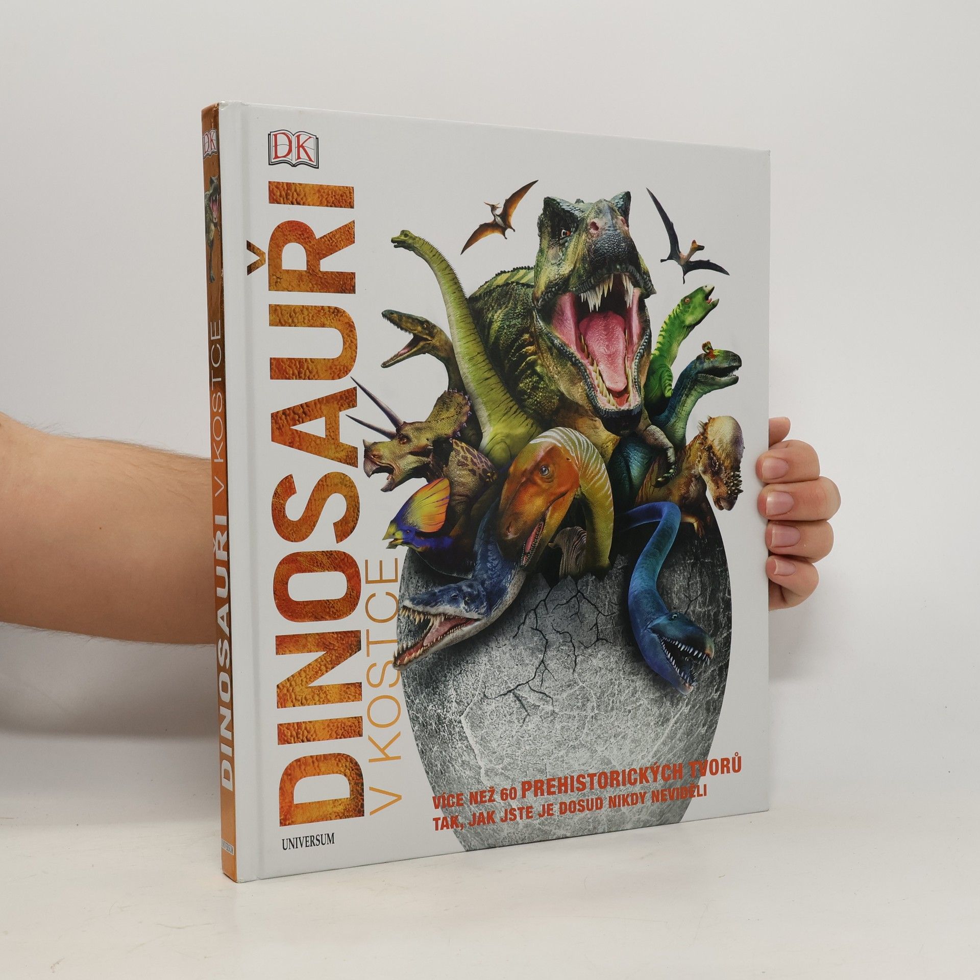 Collectif d'auteurs Dinosauři v kostce