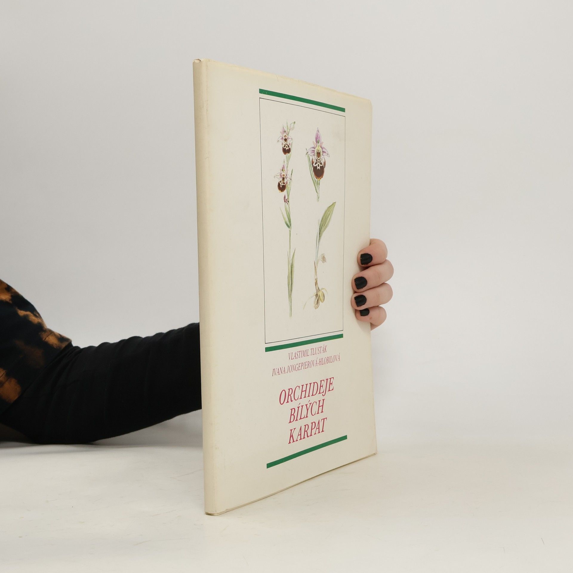 Orchideje Bílých Karpat