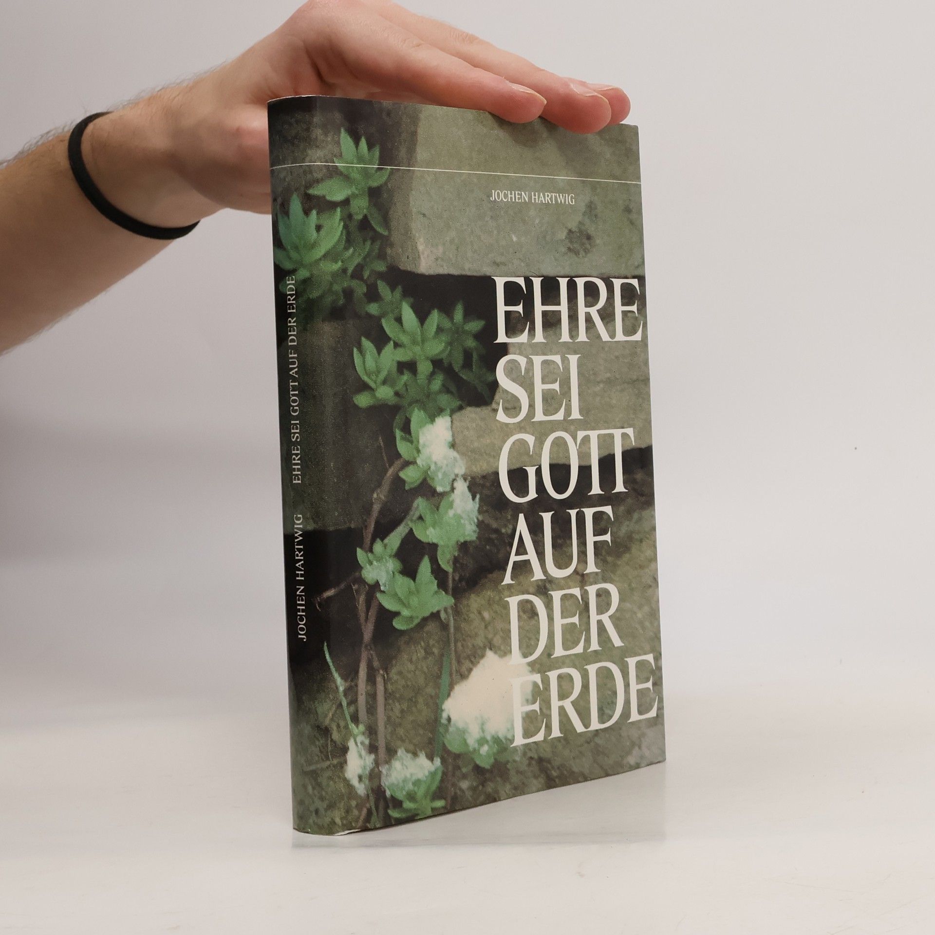 Ehre sei Gott auf der Erde