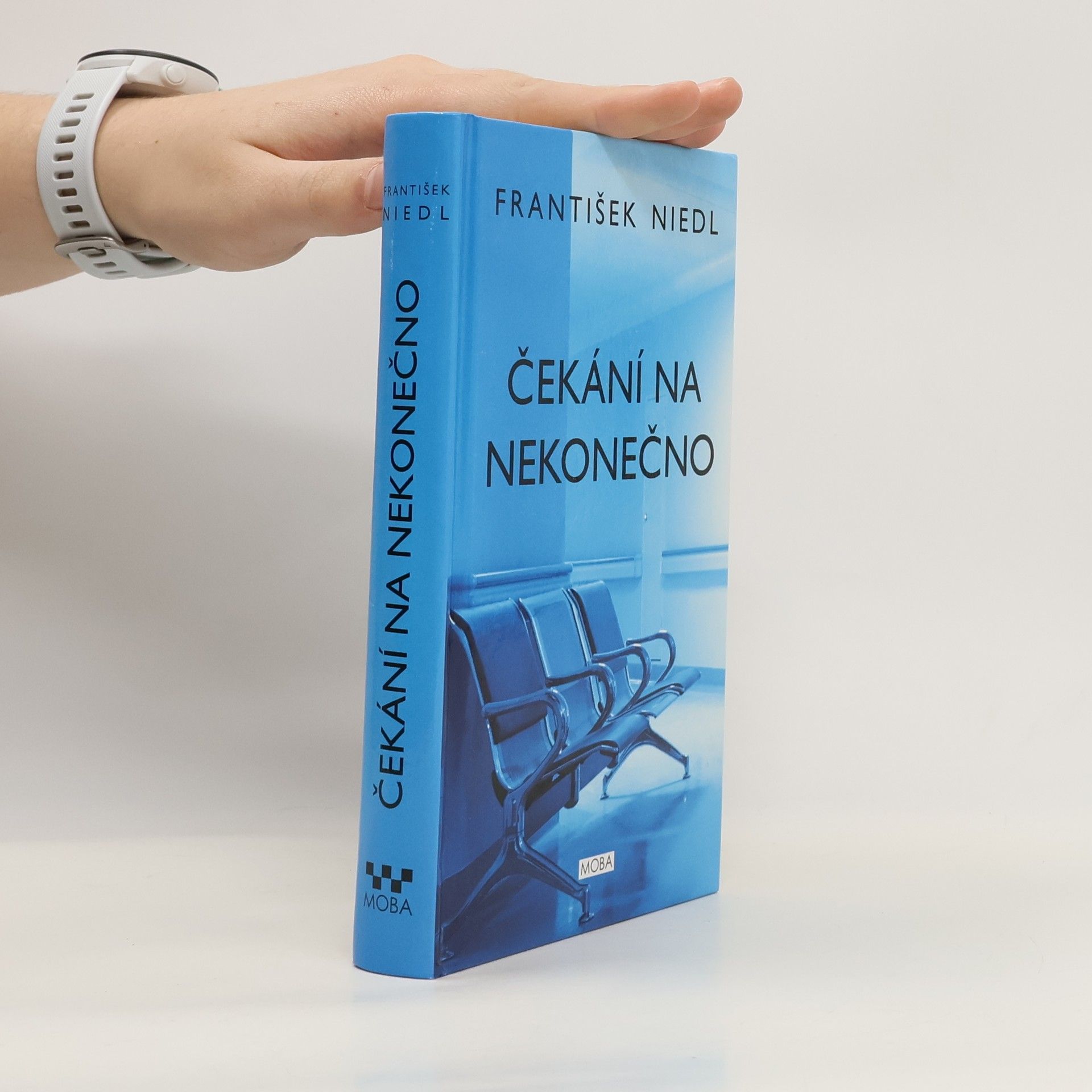 František Niedl Čekání na nekonečno