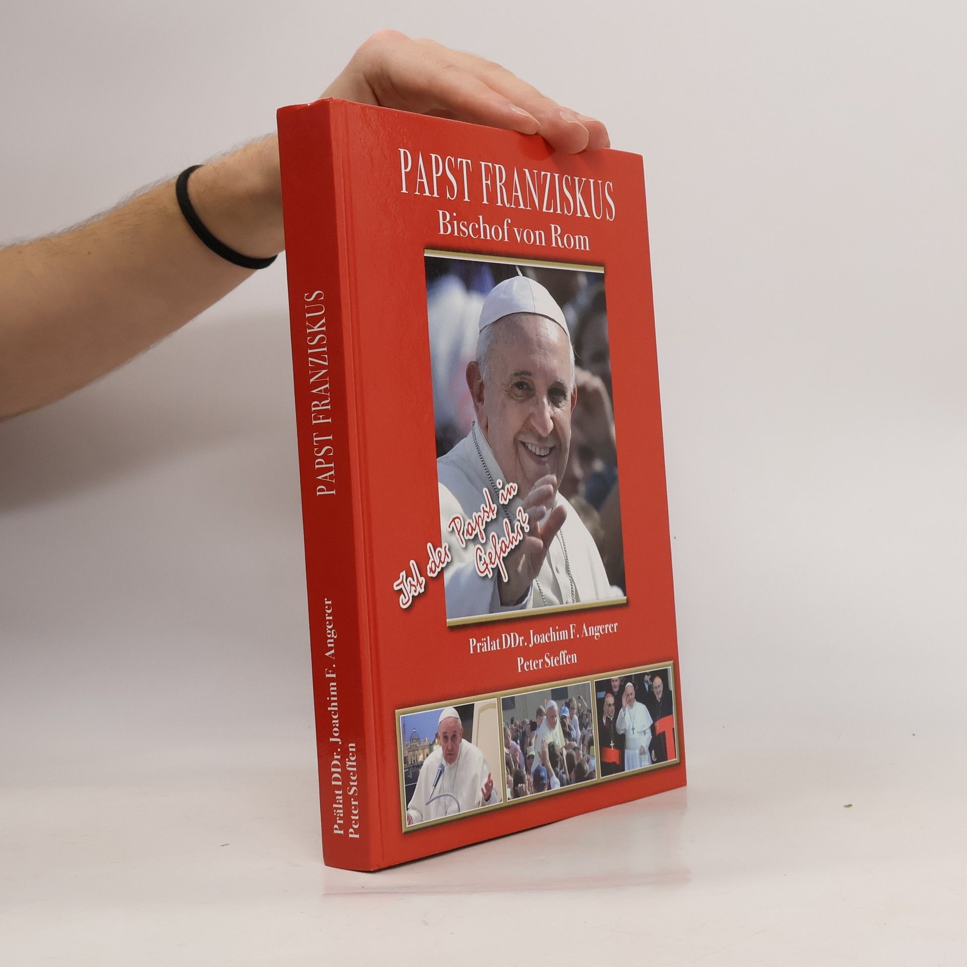 Joachim Angerer Papst Franziskus