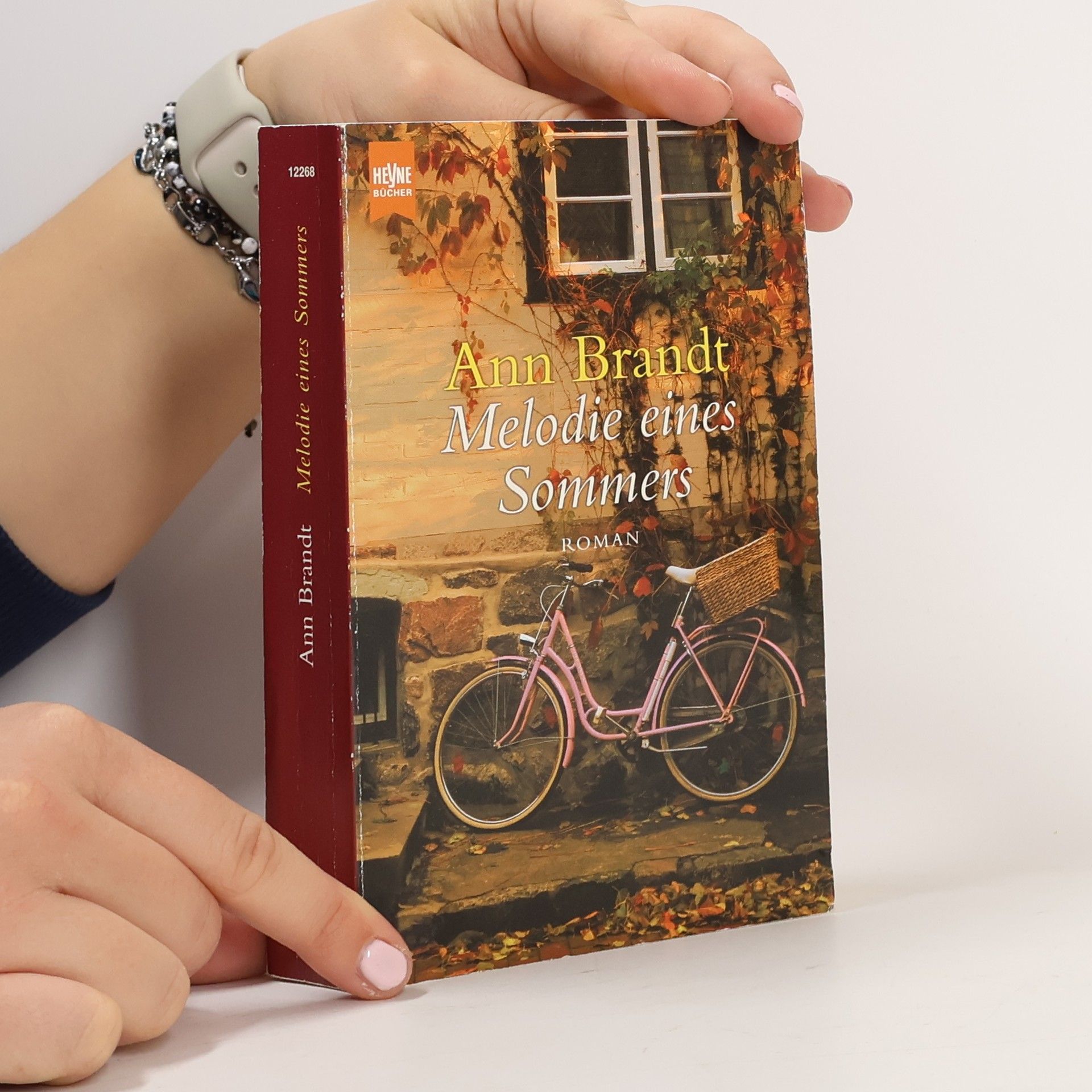 Ann Brandt Melodie eines Sommers