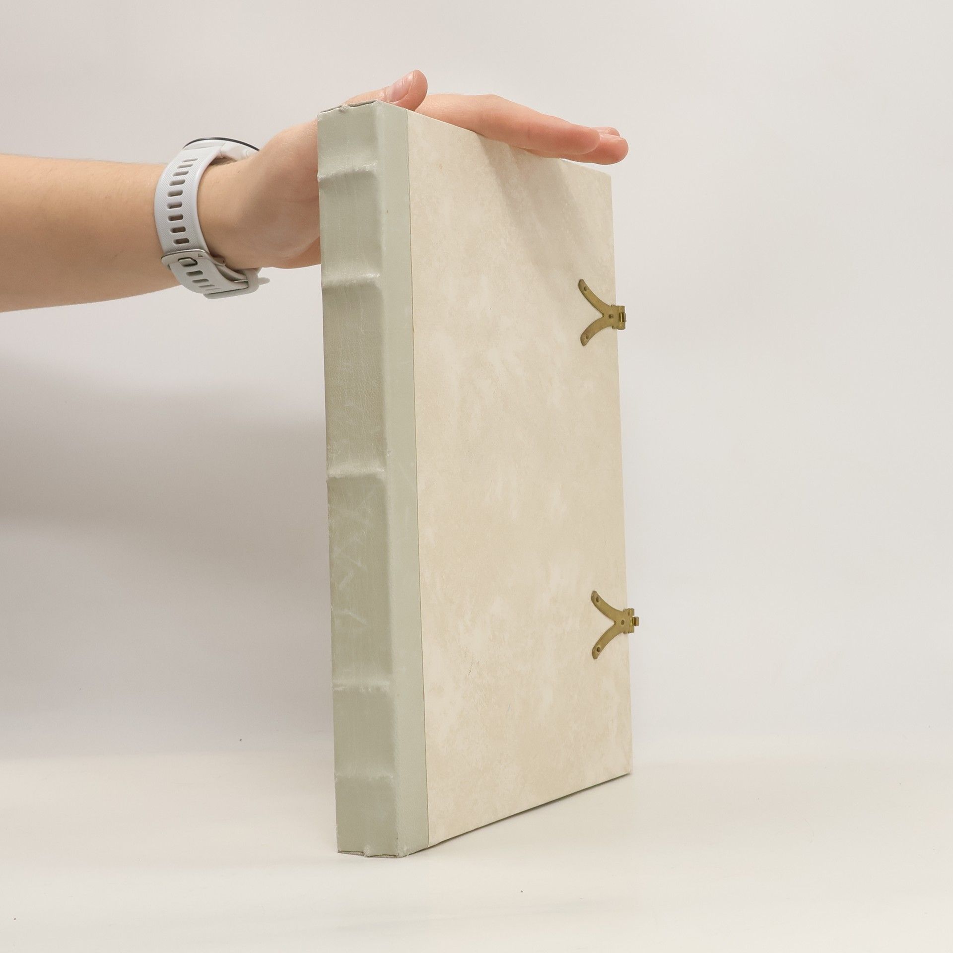 Autorenkollektiv Das Missale des Grafen Asmus von Wertheim