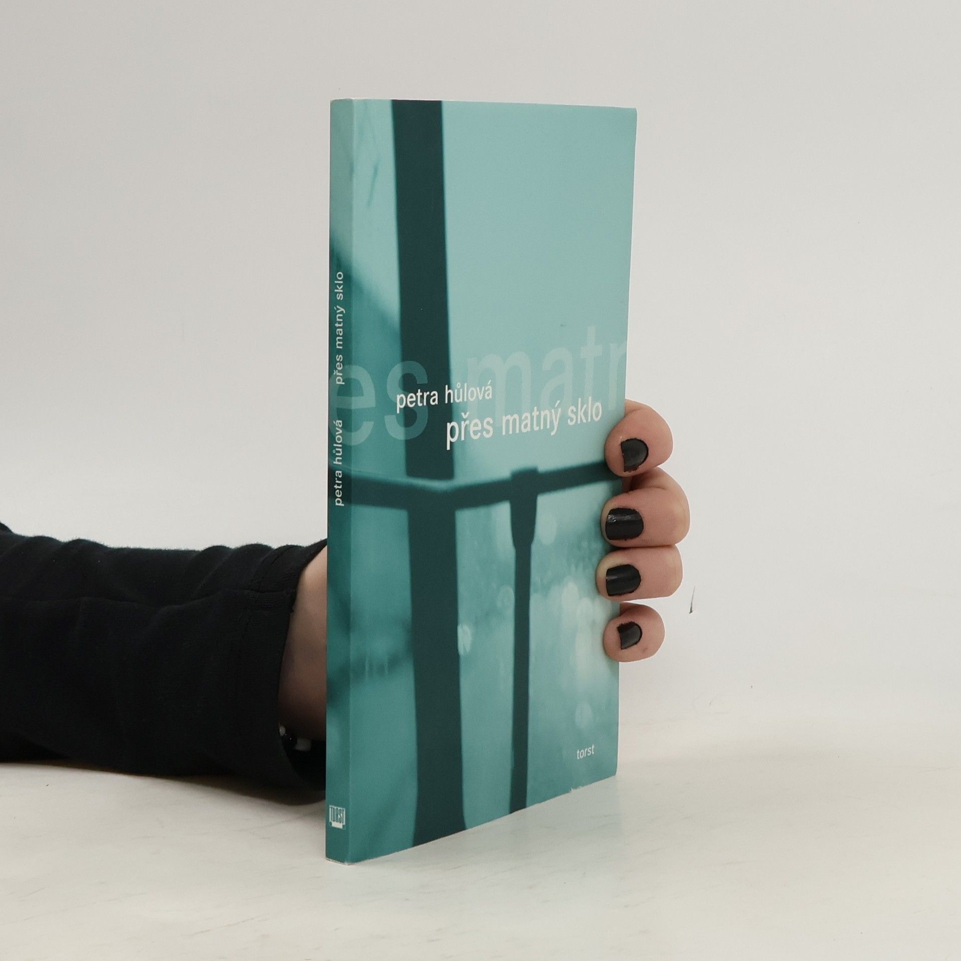 Hůlová Petra Přes matný sklo