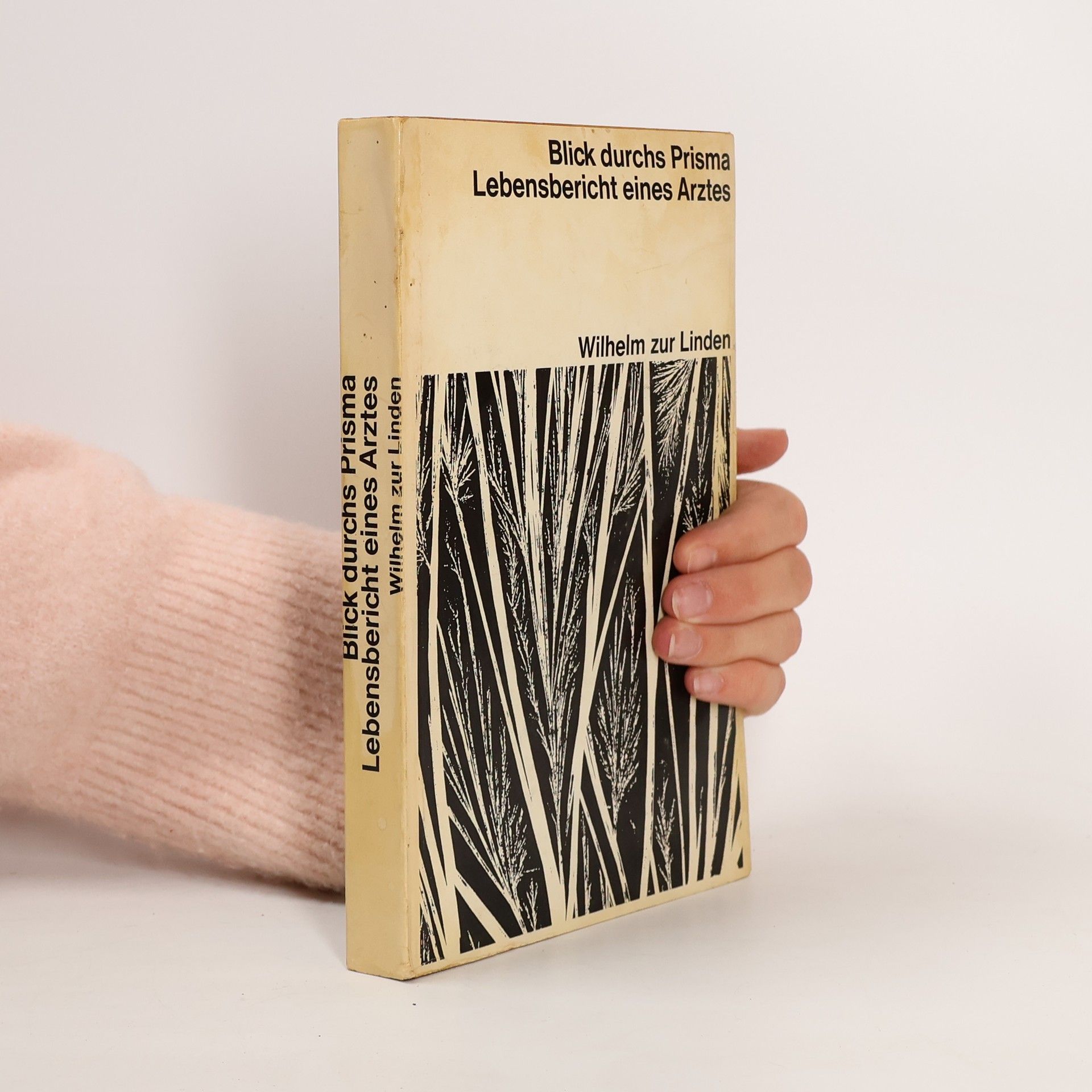 Wilhelm Zur Linden Blick durchs Prisma