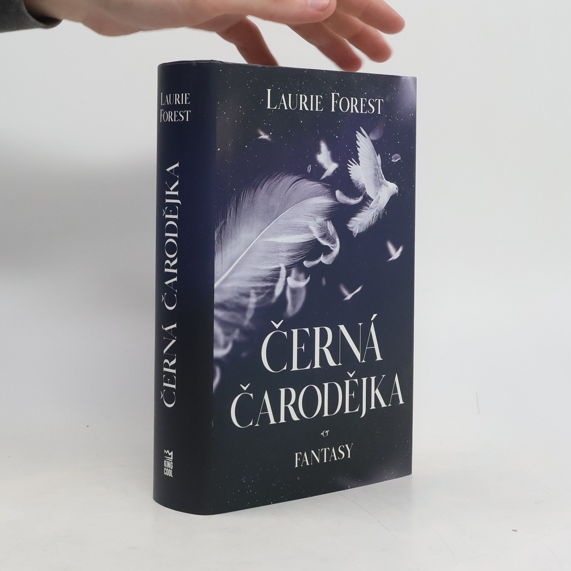 Laurie Forest Černá čarodějka