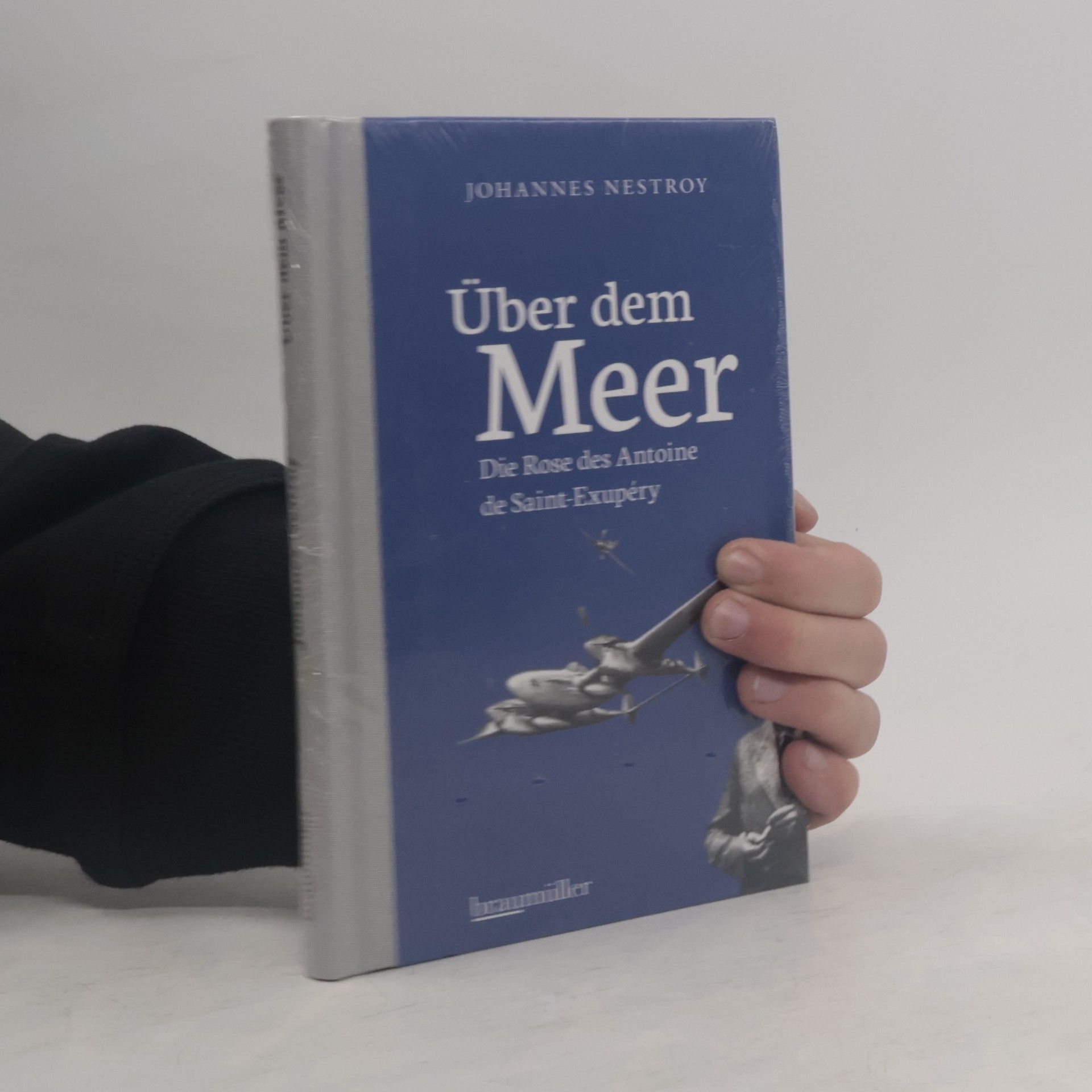 Johannes Nestroy Über dem Meer