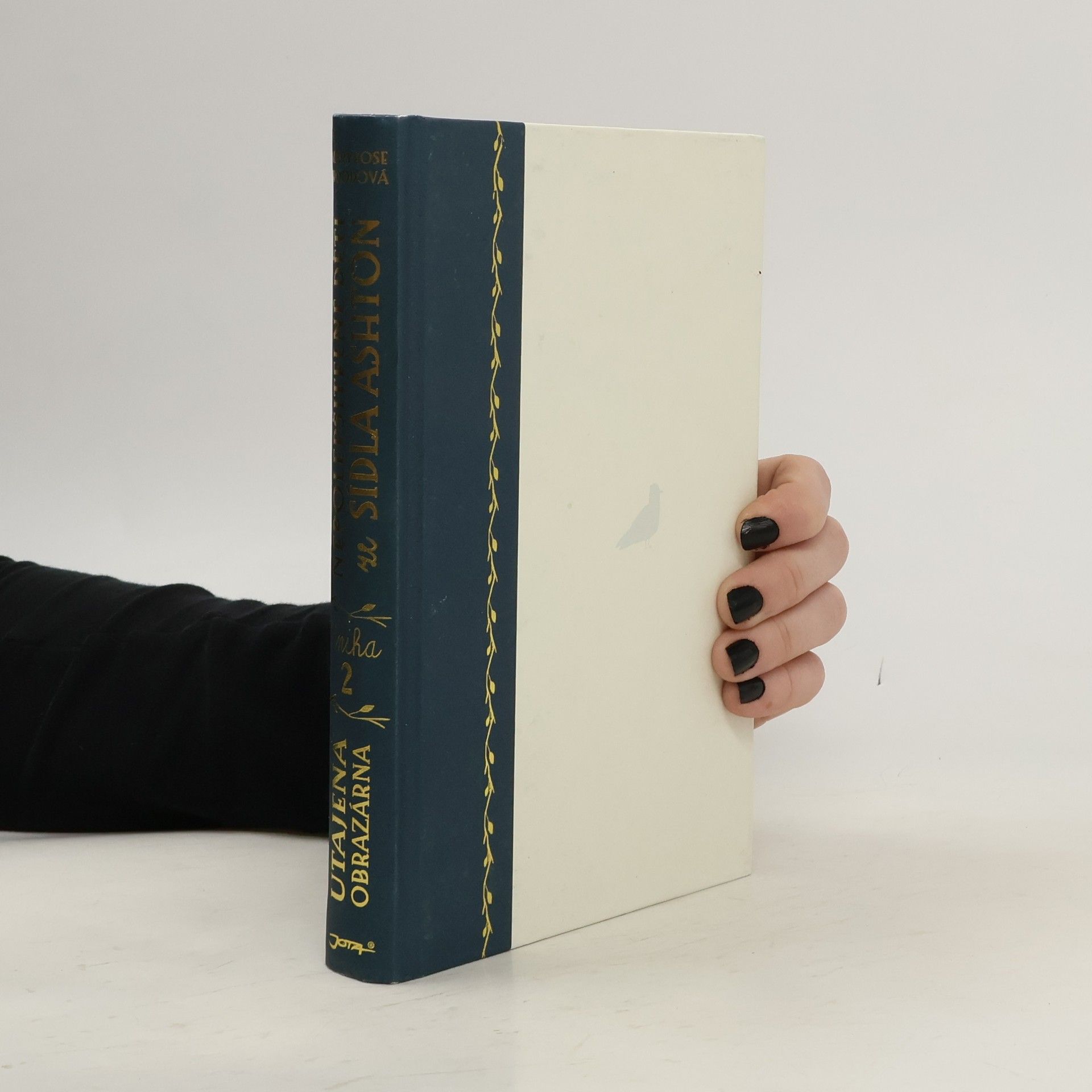 Maryrose Wood Nepolepšitelné děti ze sídla Ashton. Utajená obrazárna.