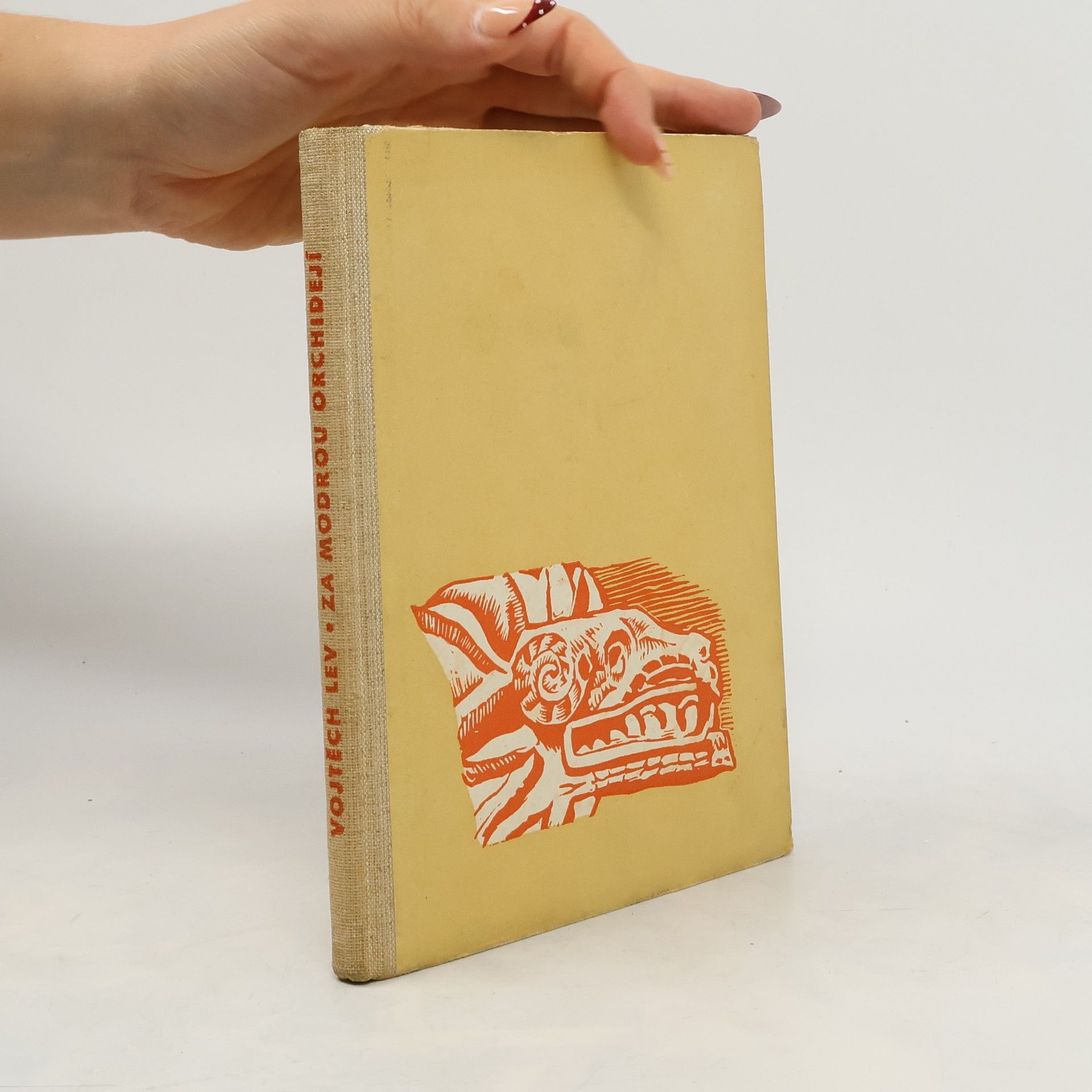 Za modrou orchidejí