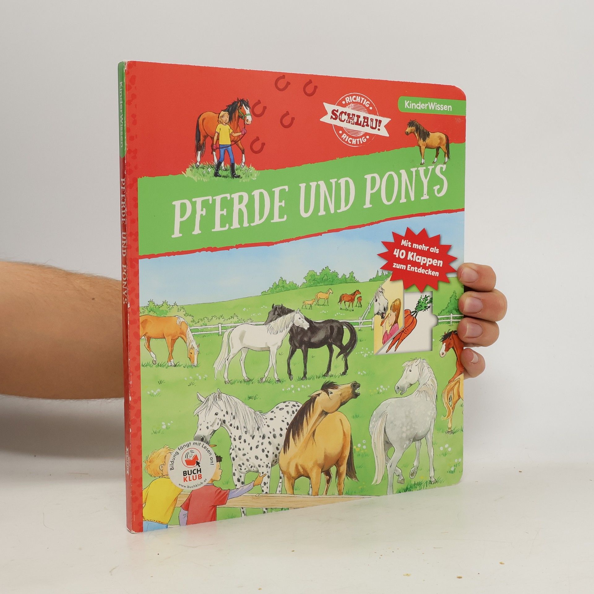 Astrid Vohwinkel Pferde und Ponys