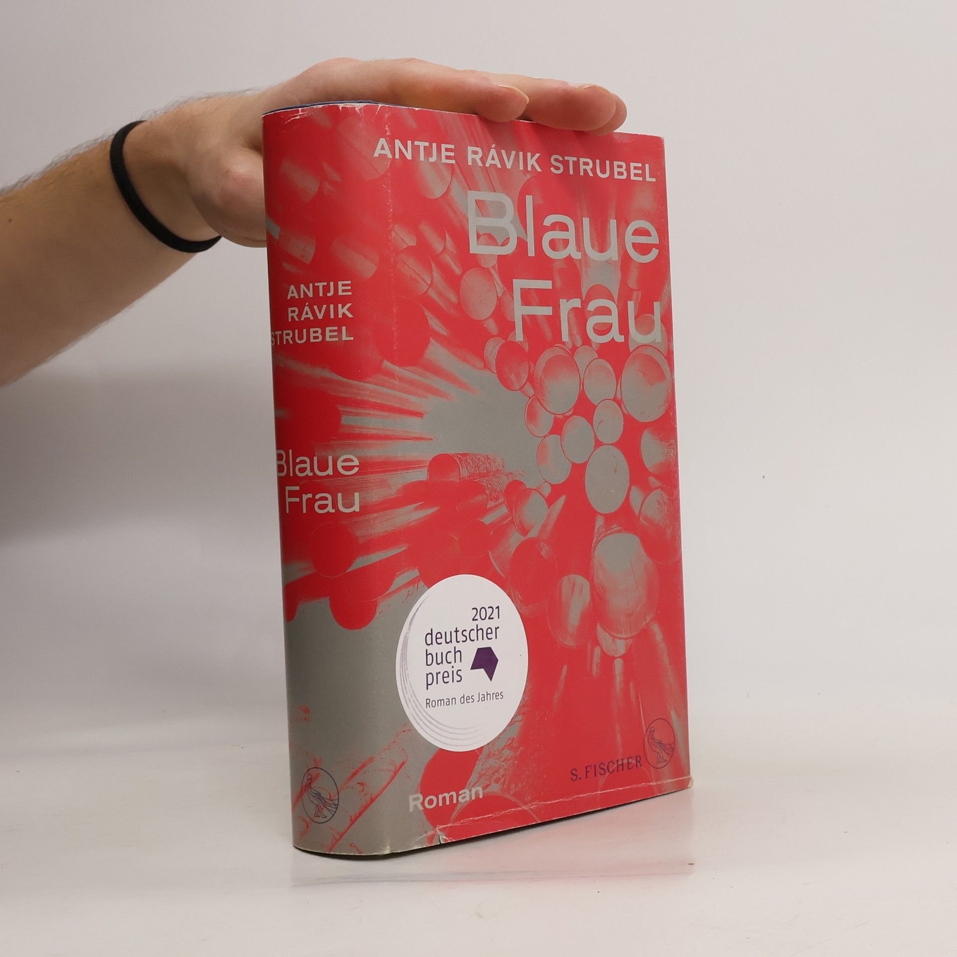 Antje Rávic Strubel Blaue Frau