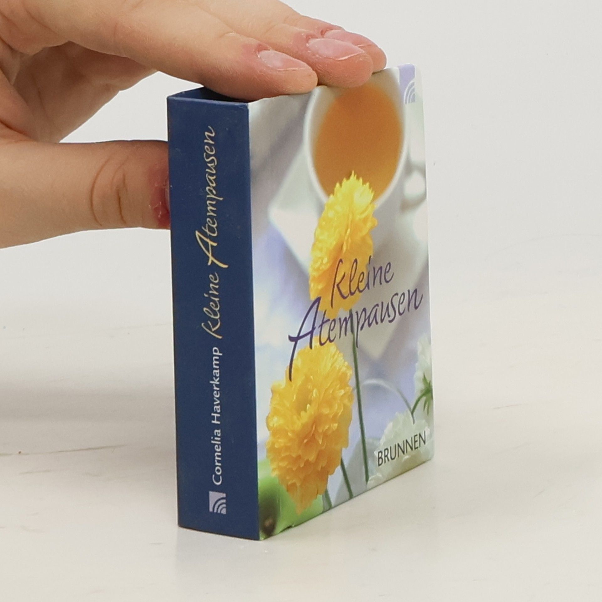 Cornelia Haverkamp Kleine Atempausen