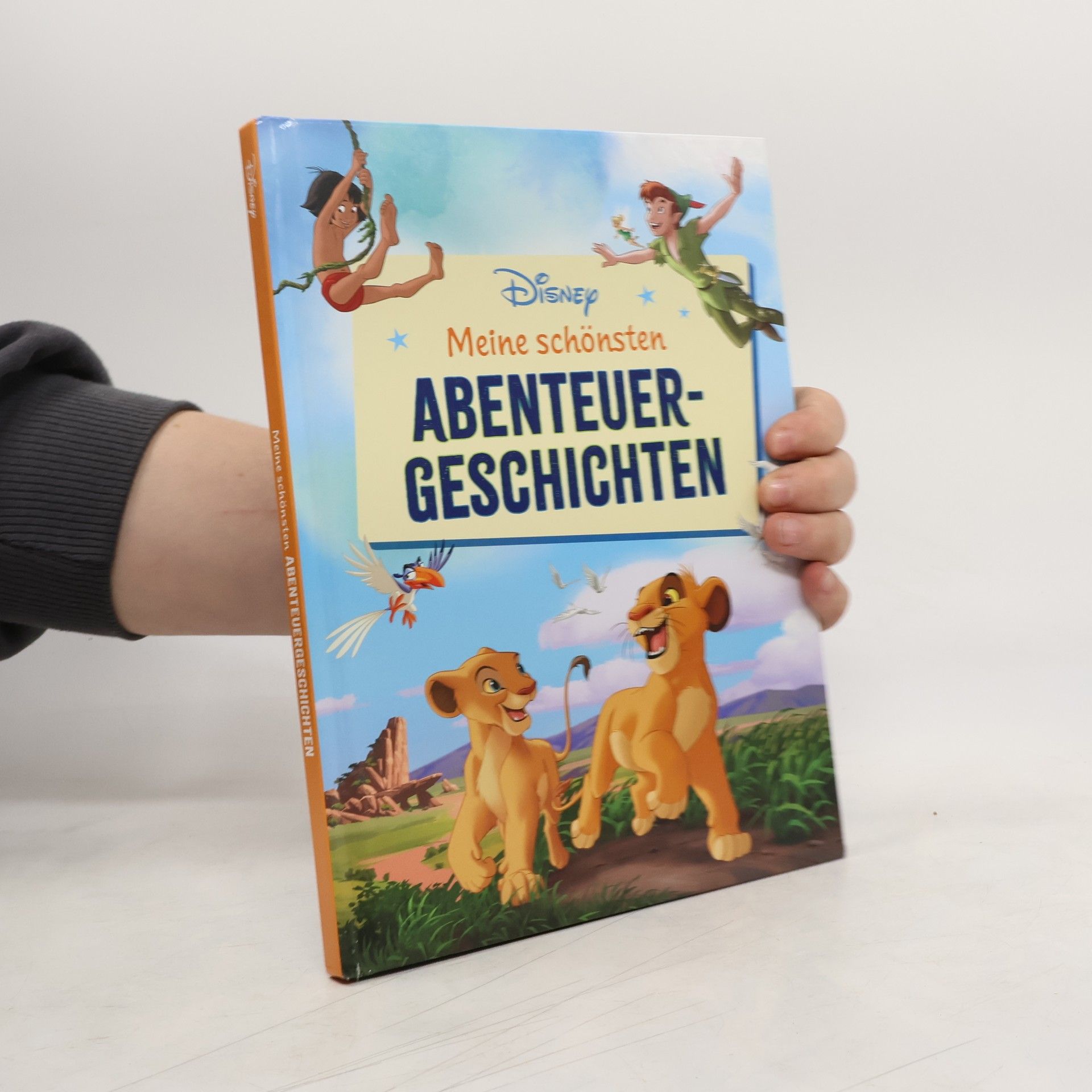 Autorenkollektiv Meine schönsten Abenteuergeschichten