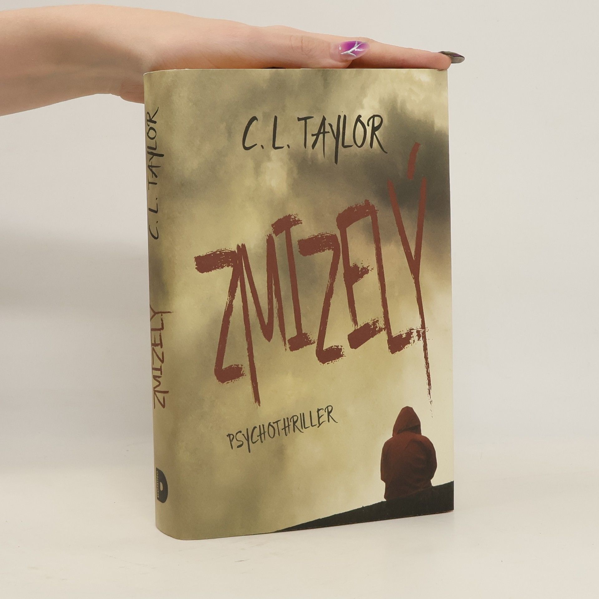 C.L. Taylor Zmizelý