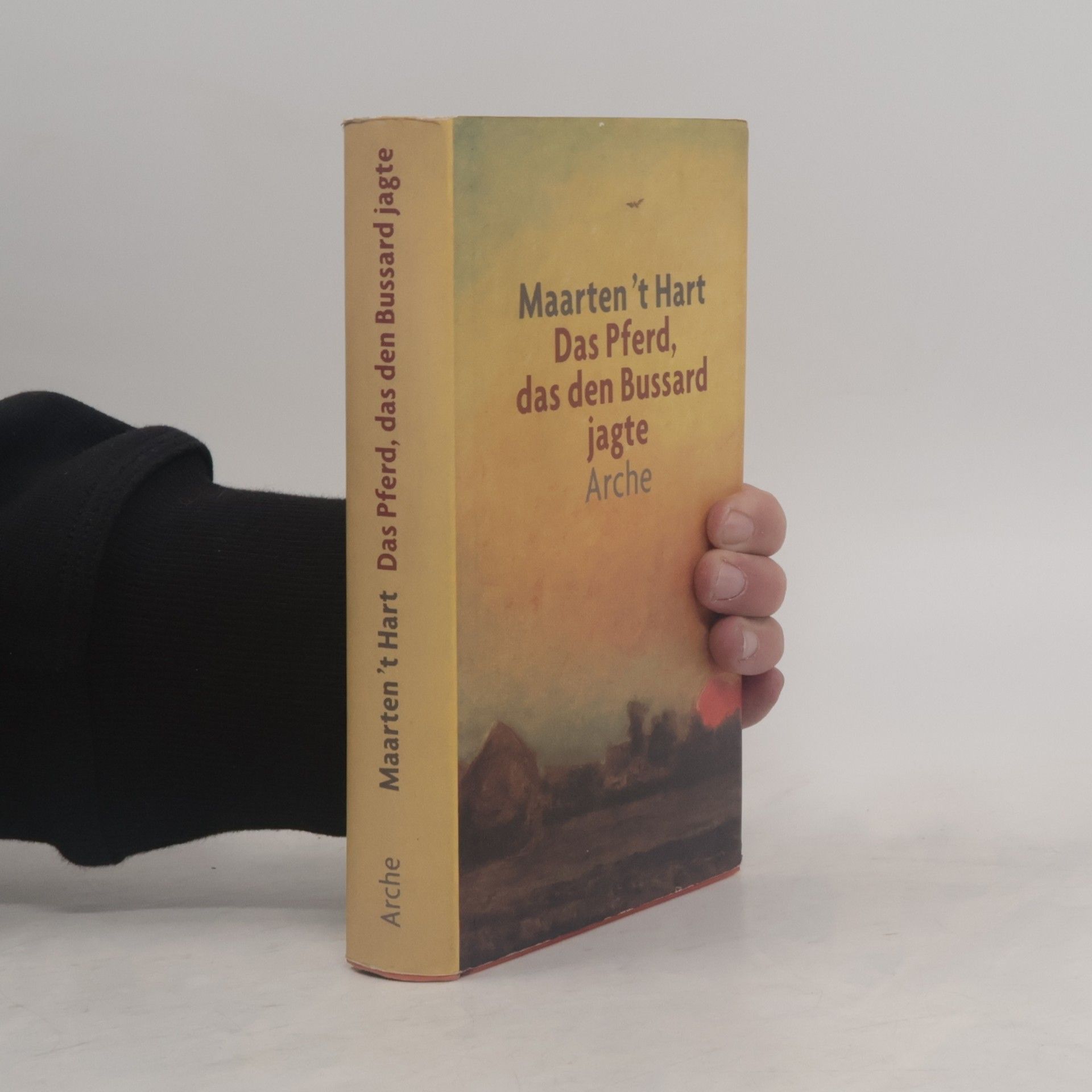 Maarten t. Hart Das Pferd, das den Bussard jagte