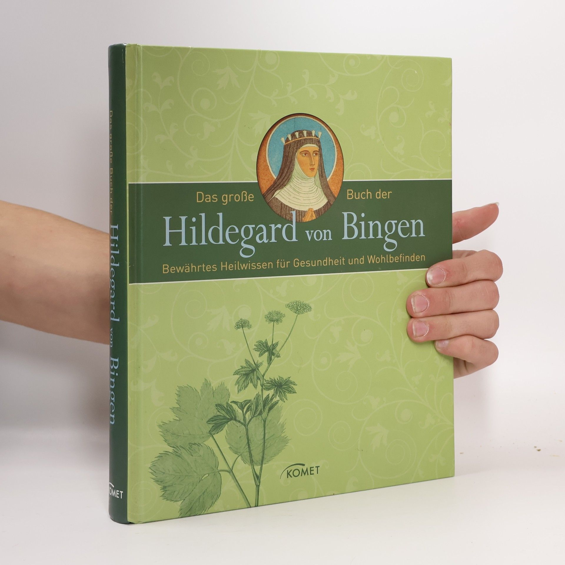 Hildegarda z Bingenu (svatá) Das große Buch der Hildegard von Bingen