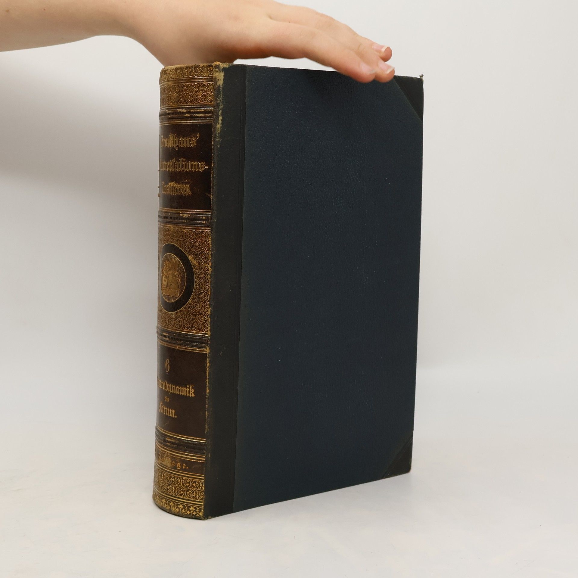 Kolektív autorov Brockhaus' Konversations-Lexikon 6