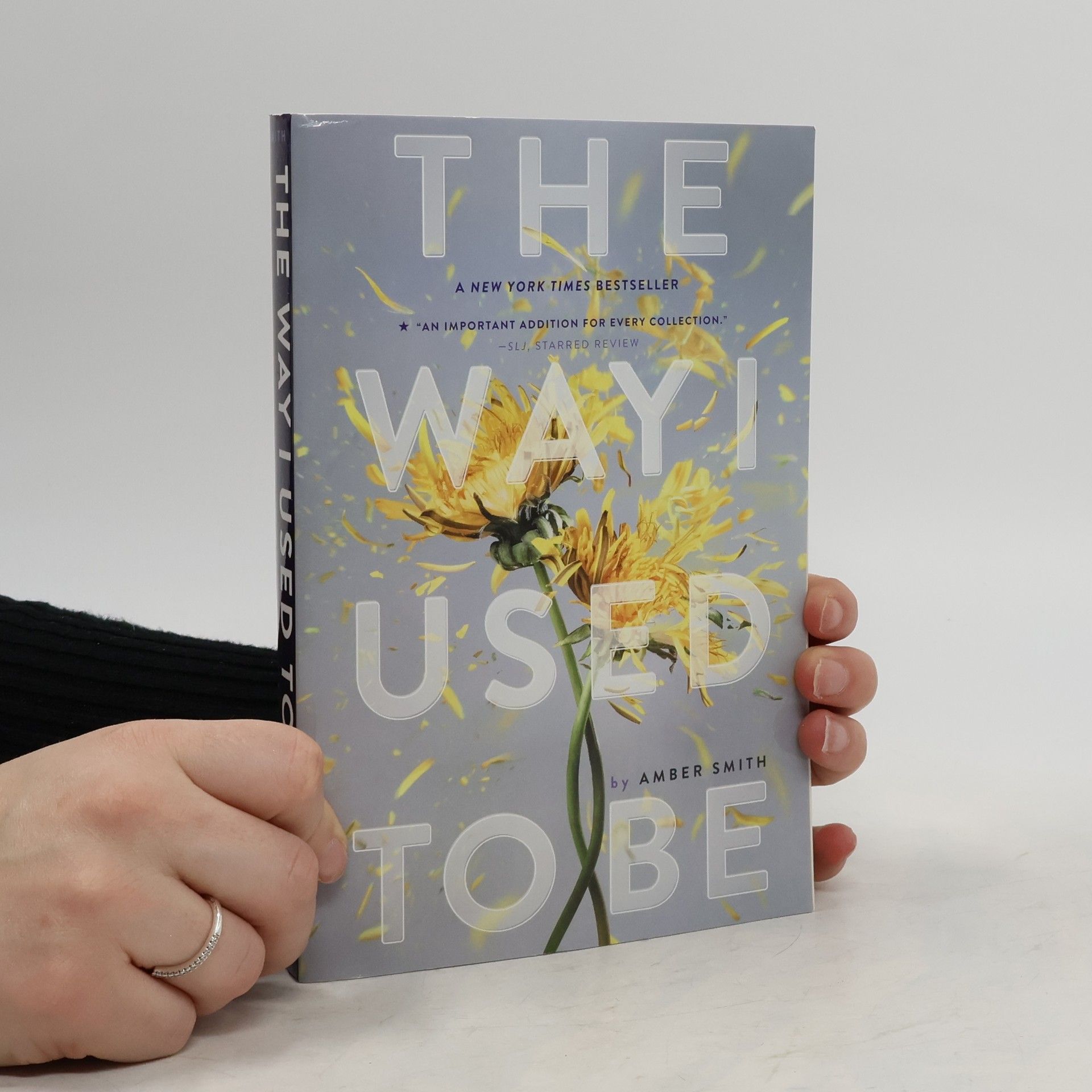 Amber Smith The Way I Used to Be