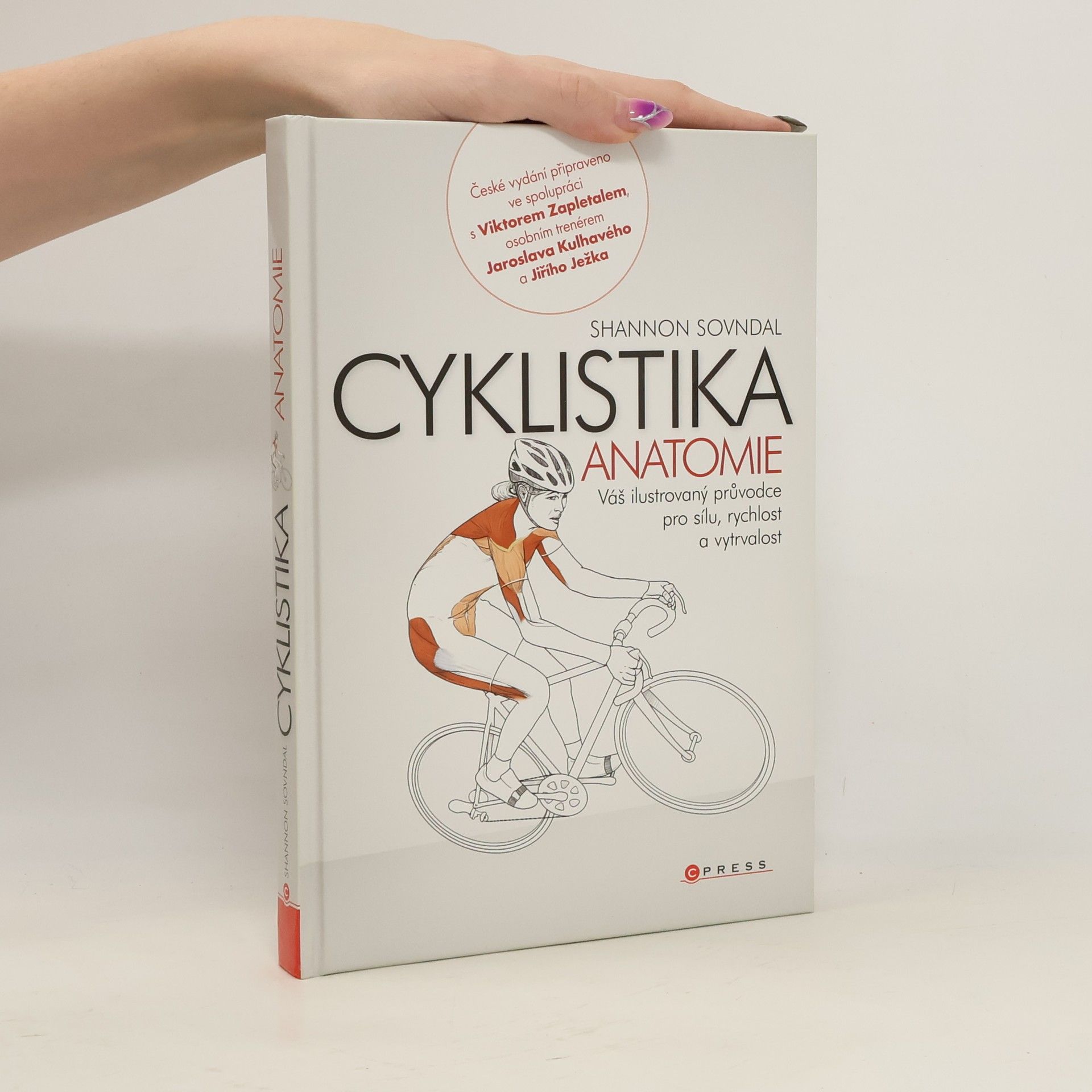 Cyklistika: Anatomie