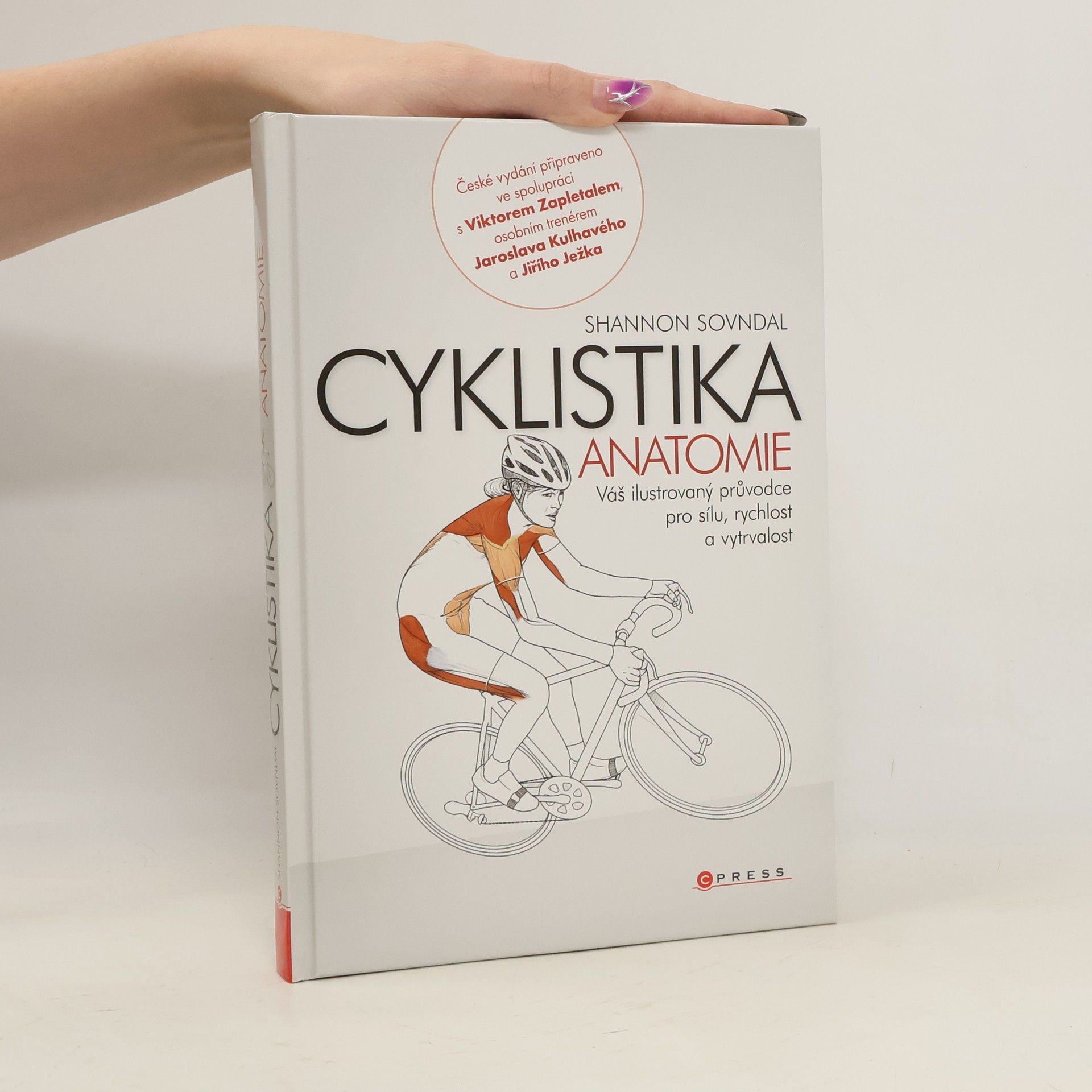 Cyklistika: Anatomie