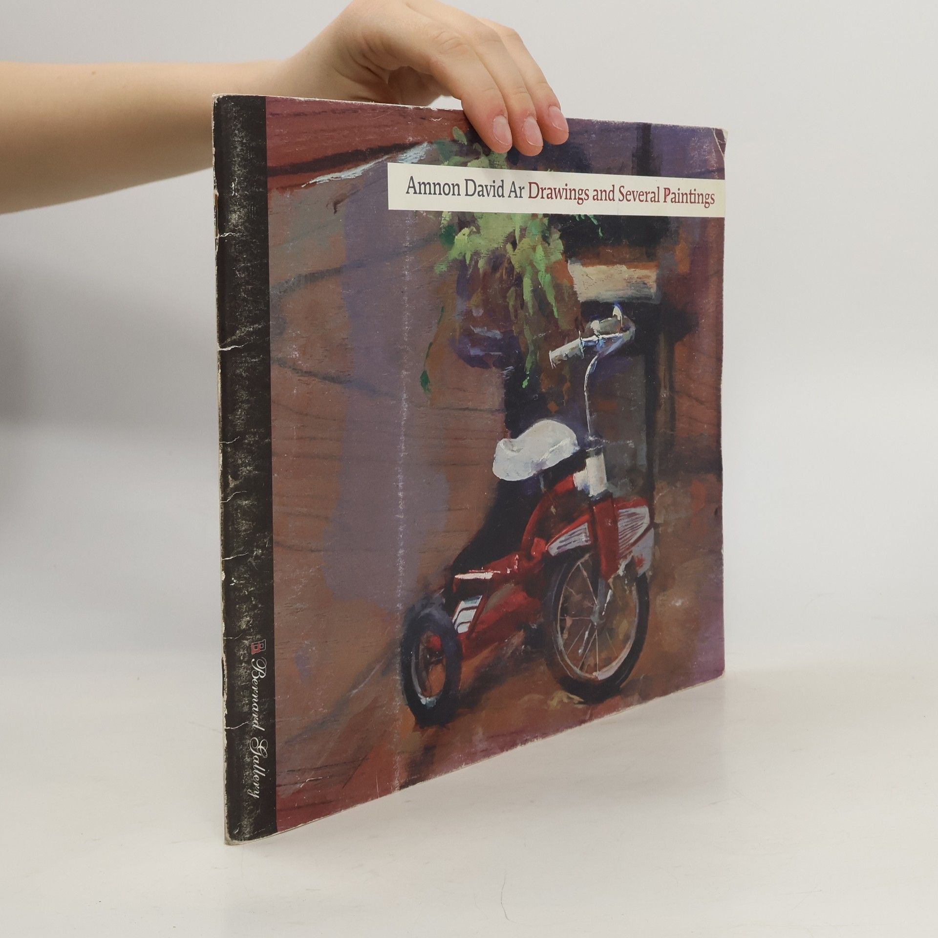 Amnon David Ar Drawings and Several Paintings