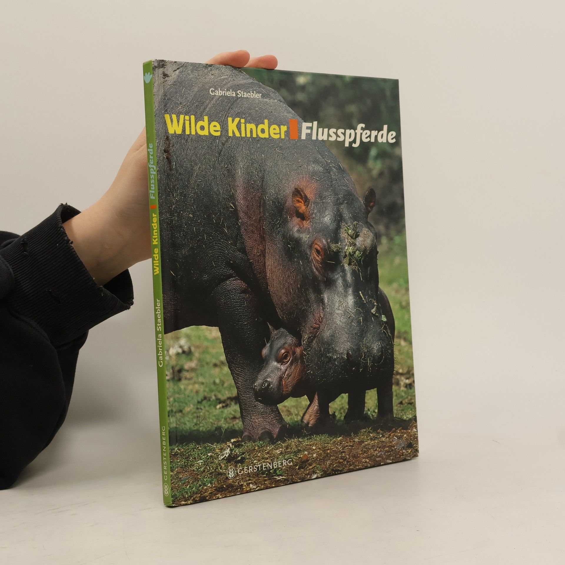 Gabriela Staebler Wilde Kinder - Flusspferde