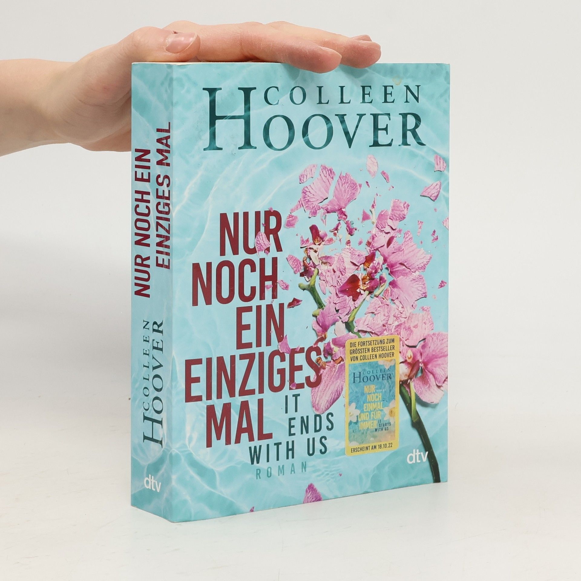 Colleen Hoover Nur noch ein einziges Mal