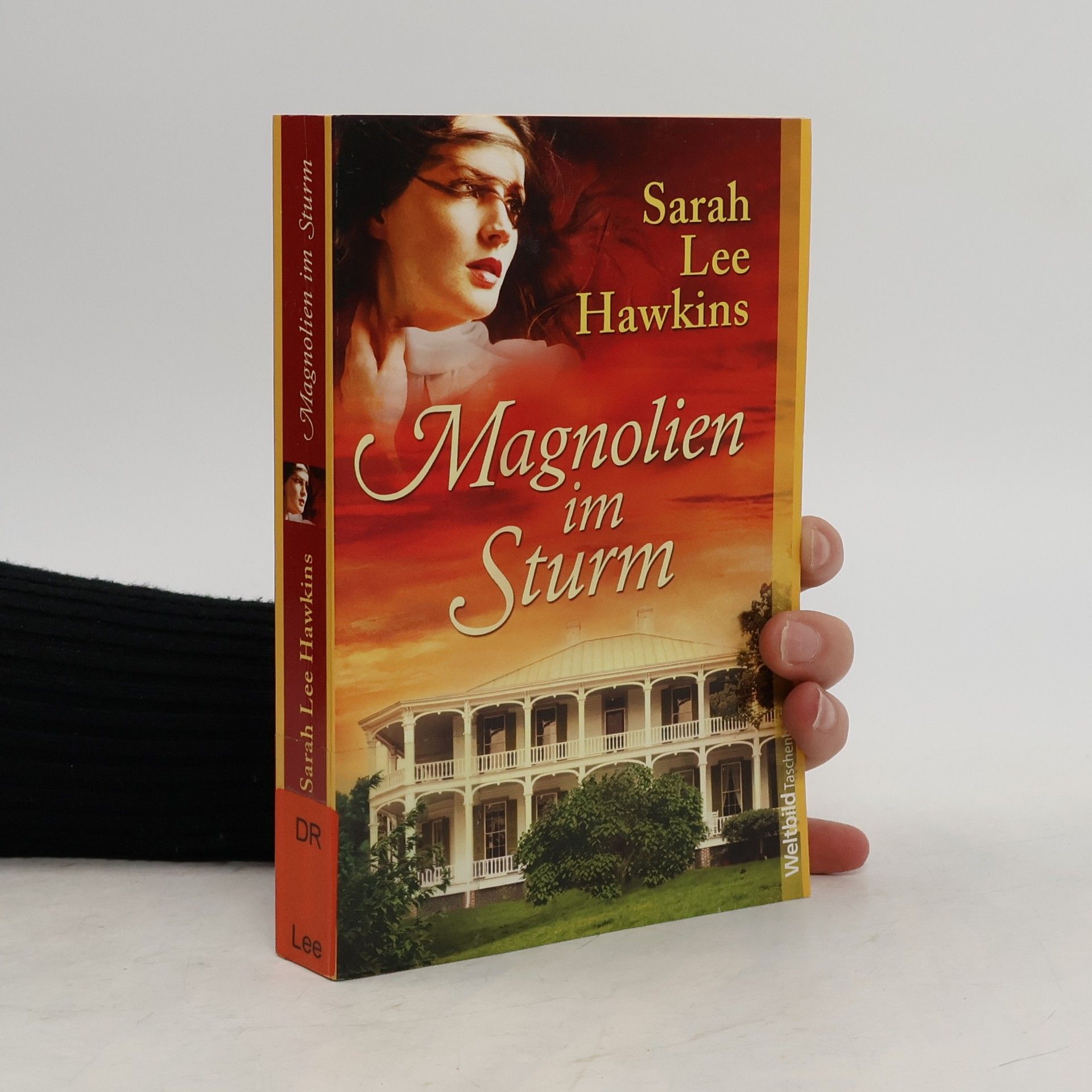 Sarah Lee Hawkins Magnolien im Sturm