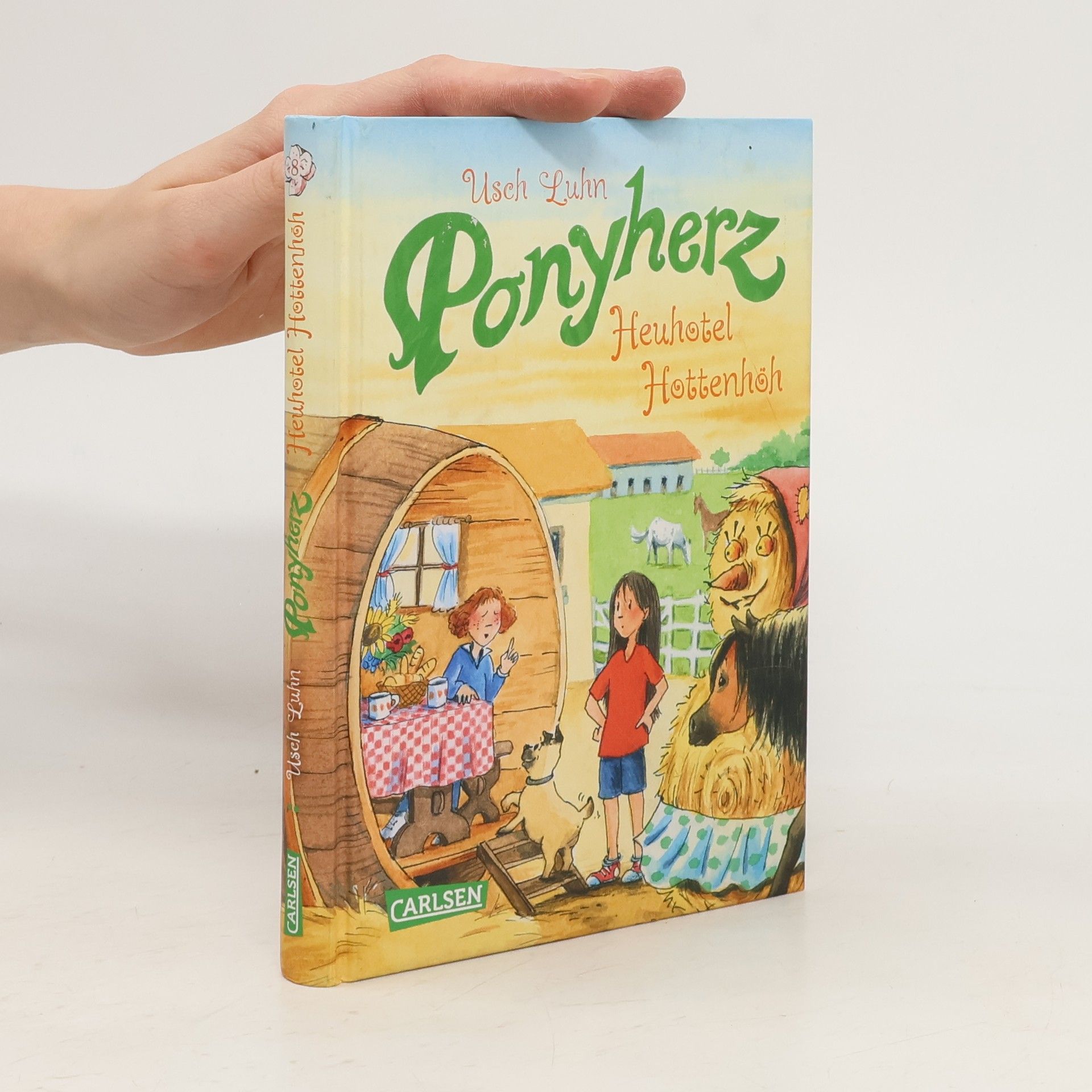 Usch Luhn Heuhotel Hottenhöh / Ponyherz Bd.8