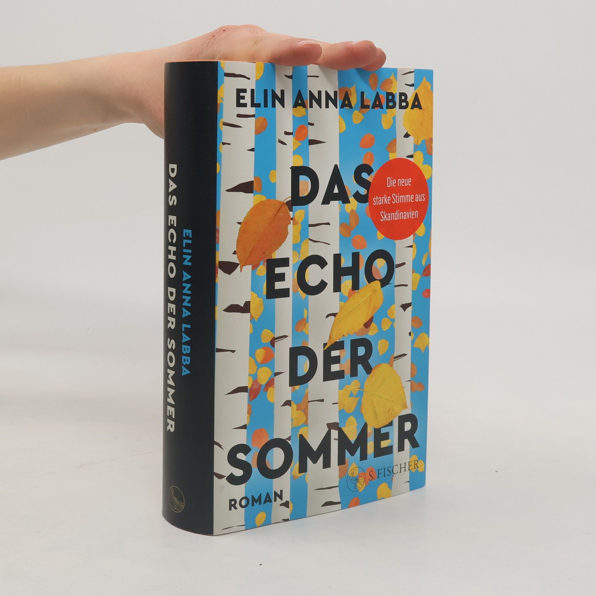 Elin Anna Labba Das Echo der Sommer