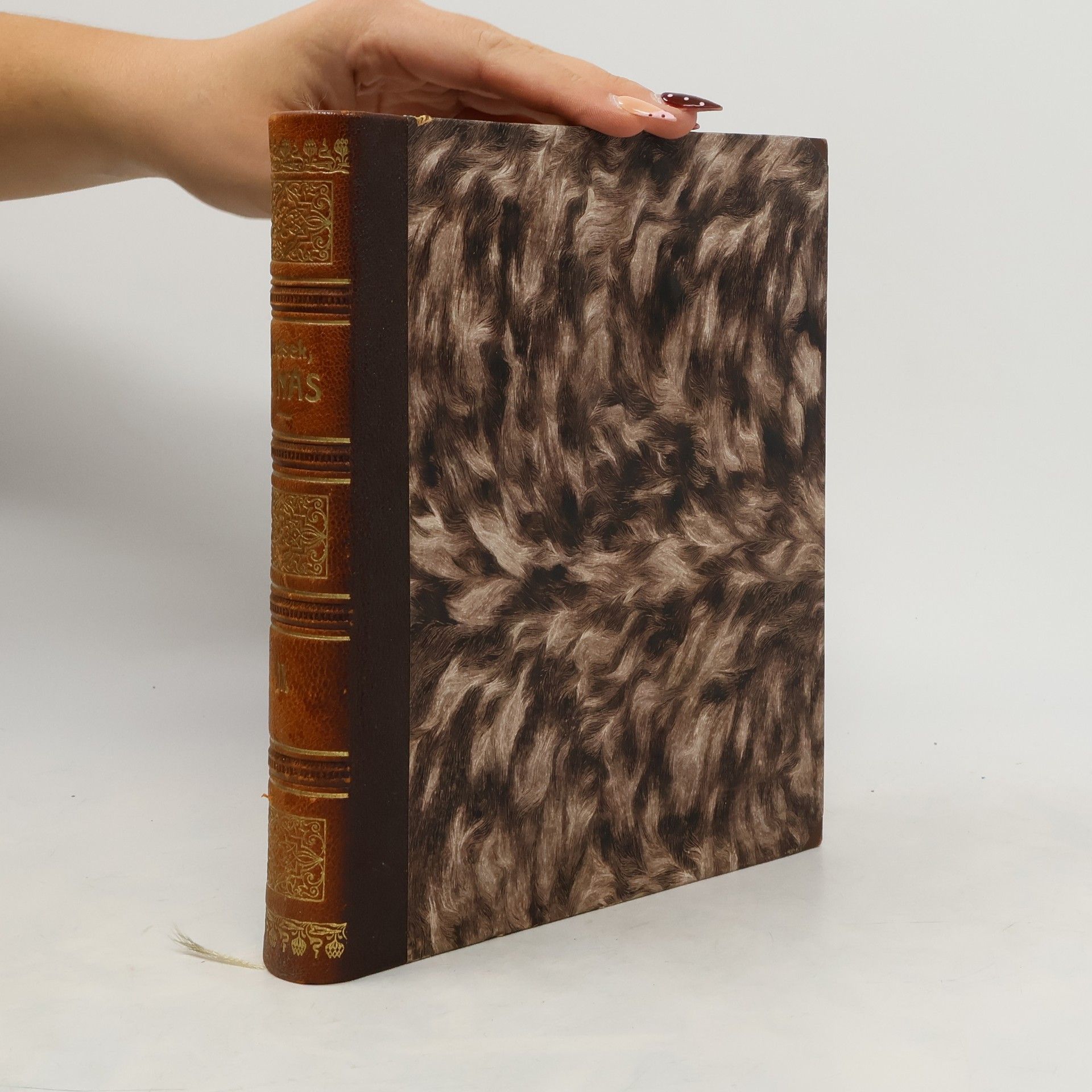 Alois Jirásek U nás