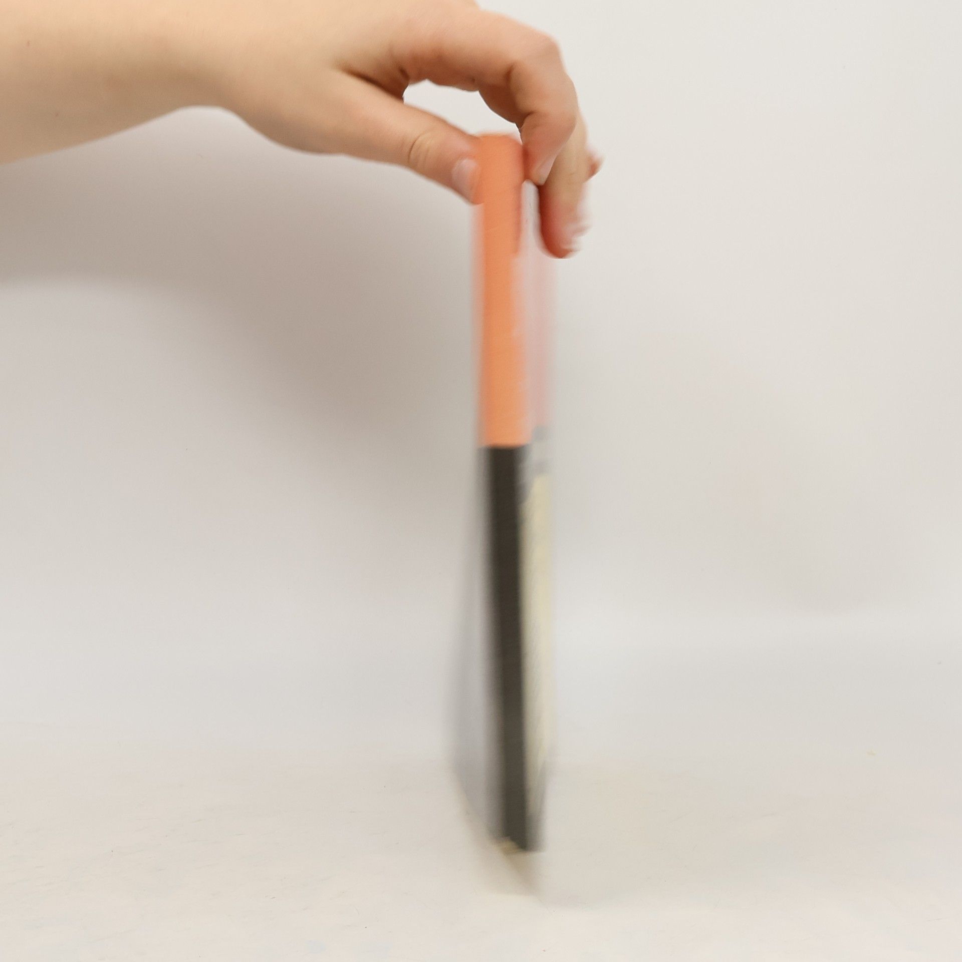 Antonín Dynda Česko-německá obchodní korespondence