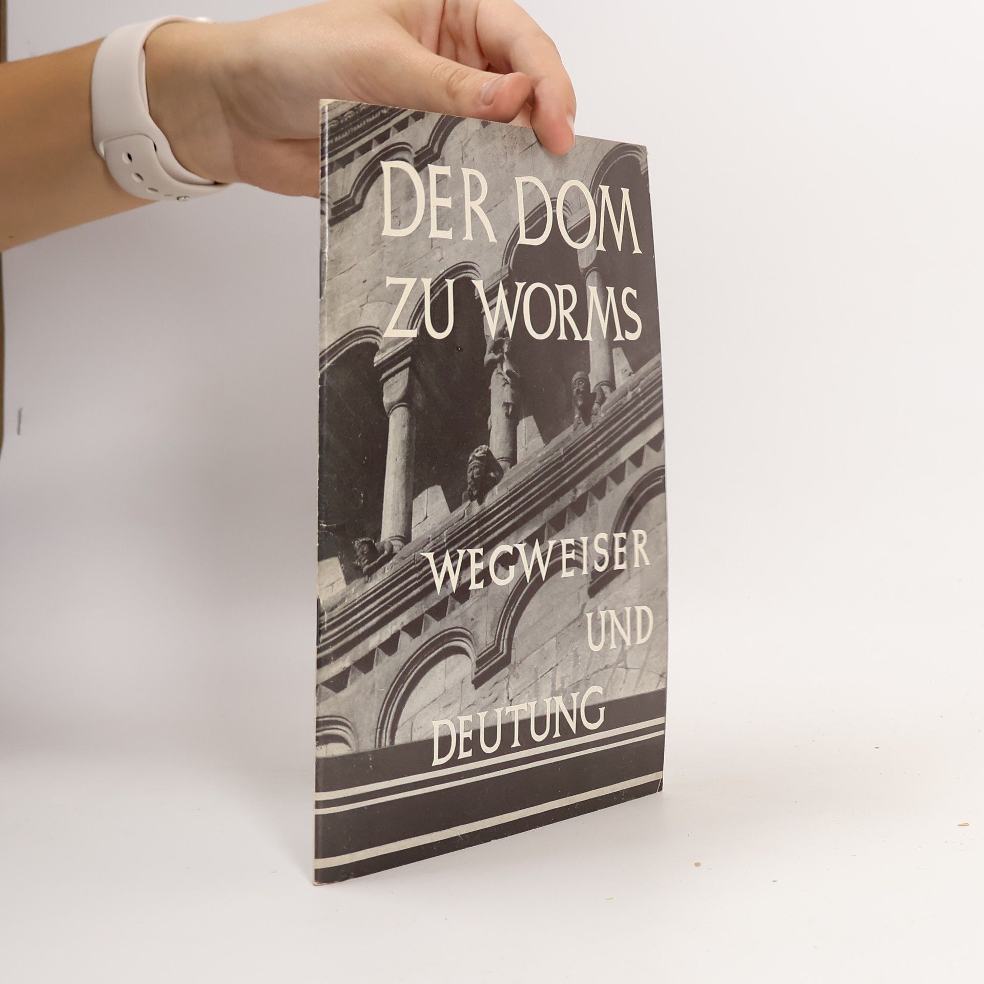 Carl Johann Heinrich Villinger Der Dom zu Worms. Wegweiser und Deutung