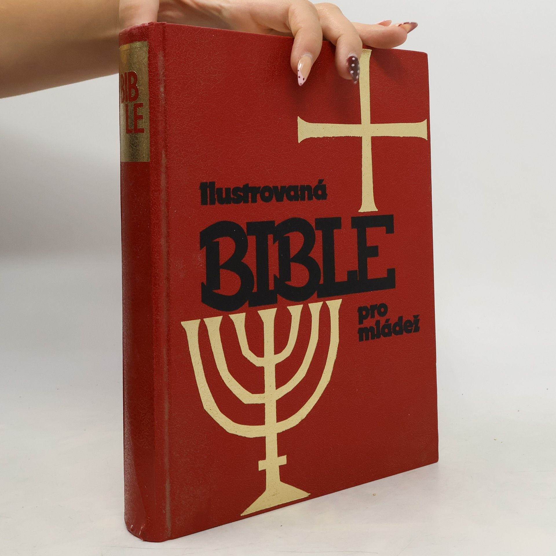 Kolektiv autorů Ilustrovaná Bible pro mládež
