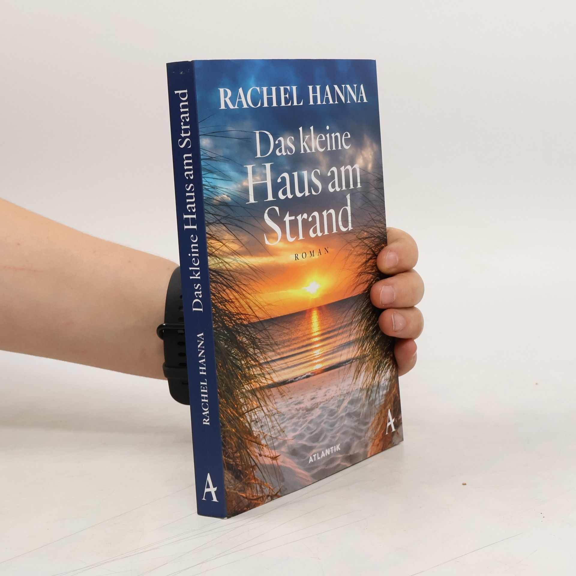 Rachel Hanna Das kleine Haus am Strand