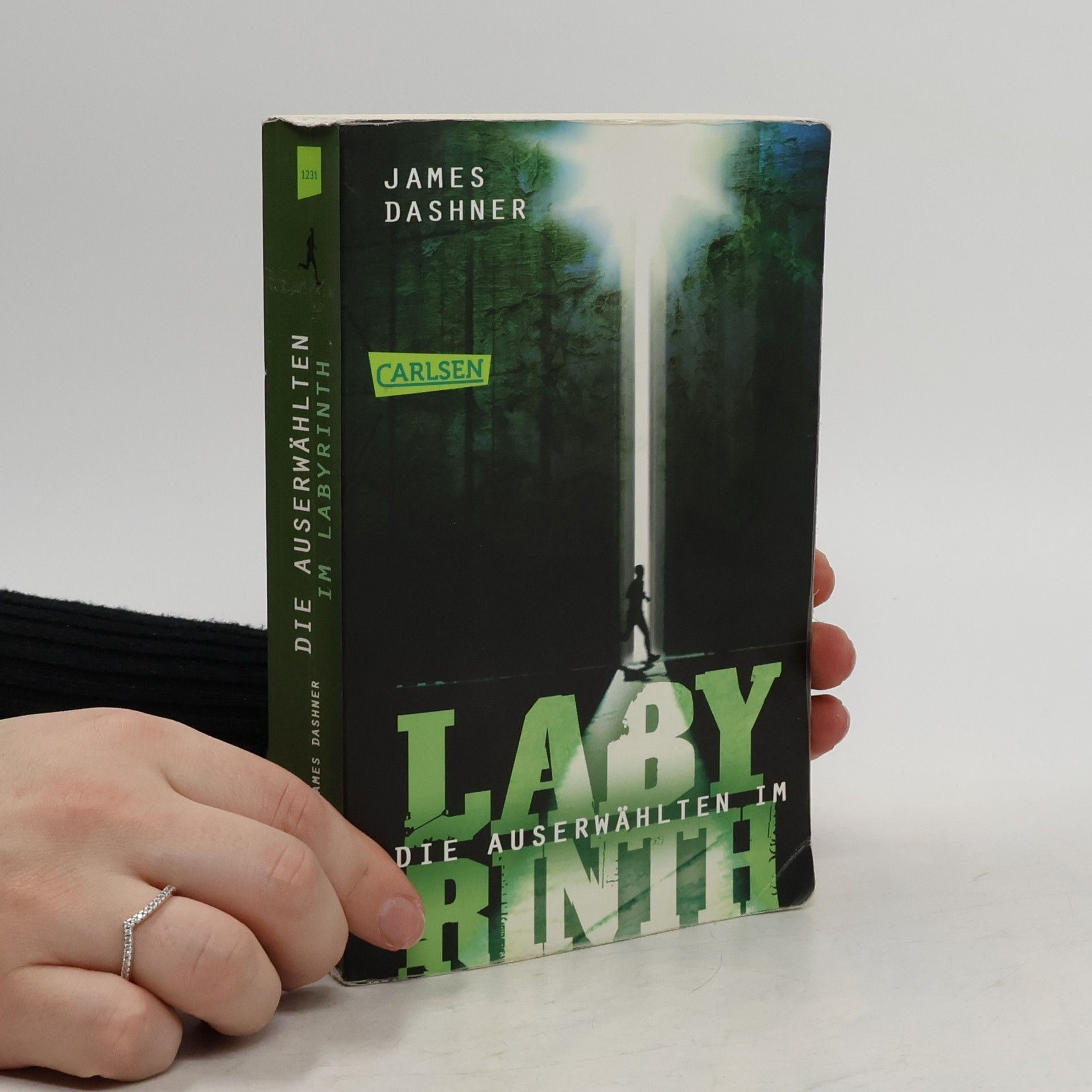 Die Auserwählten Im Labyrinth