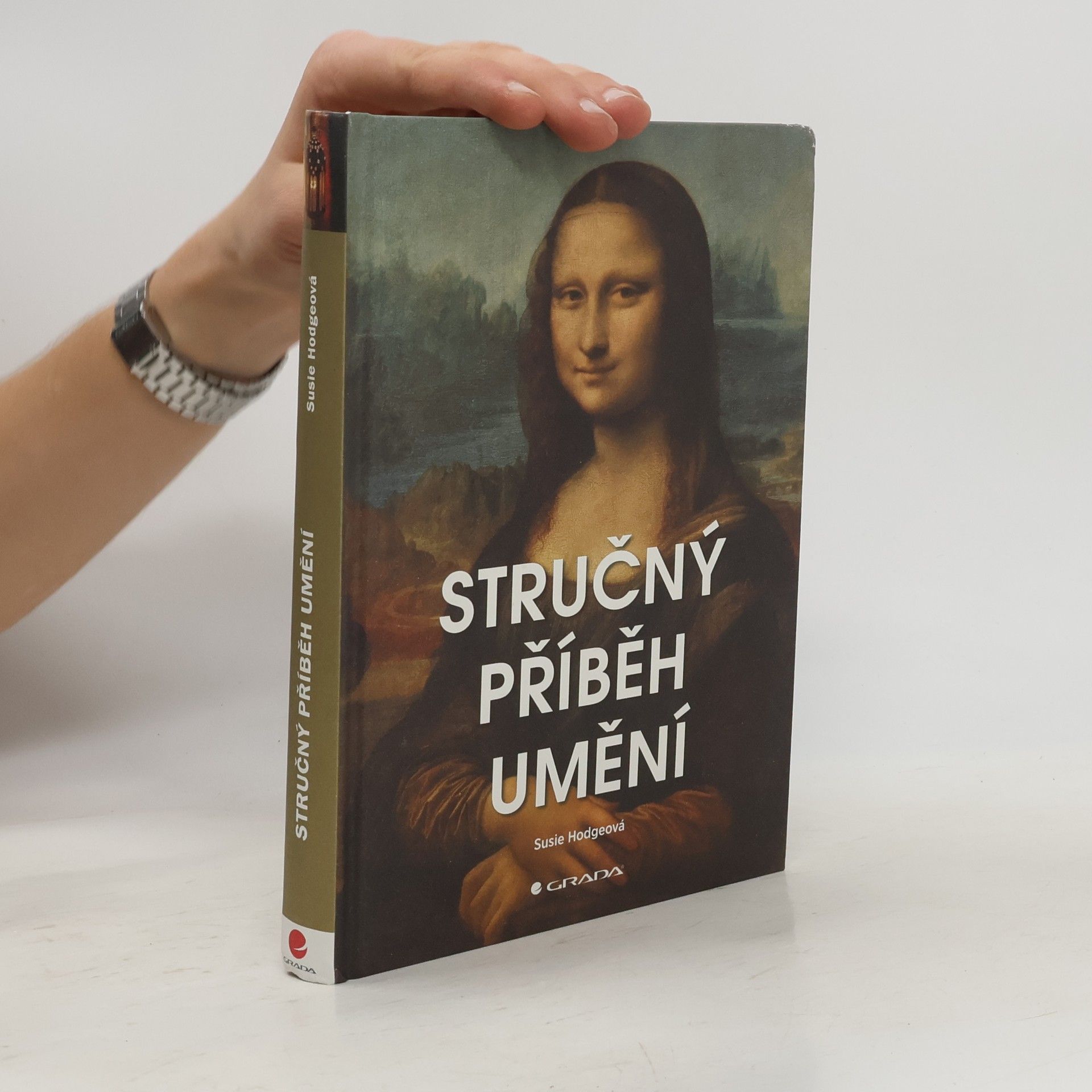 Susie Hodge Stručný příběh umění