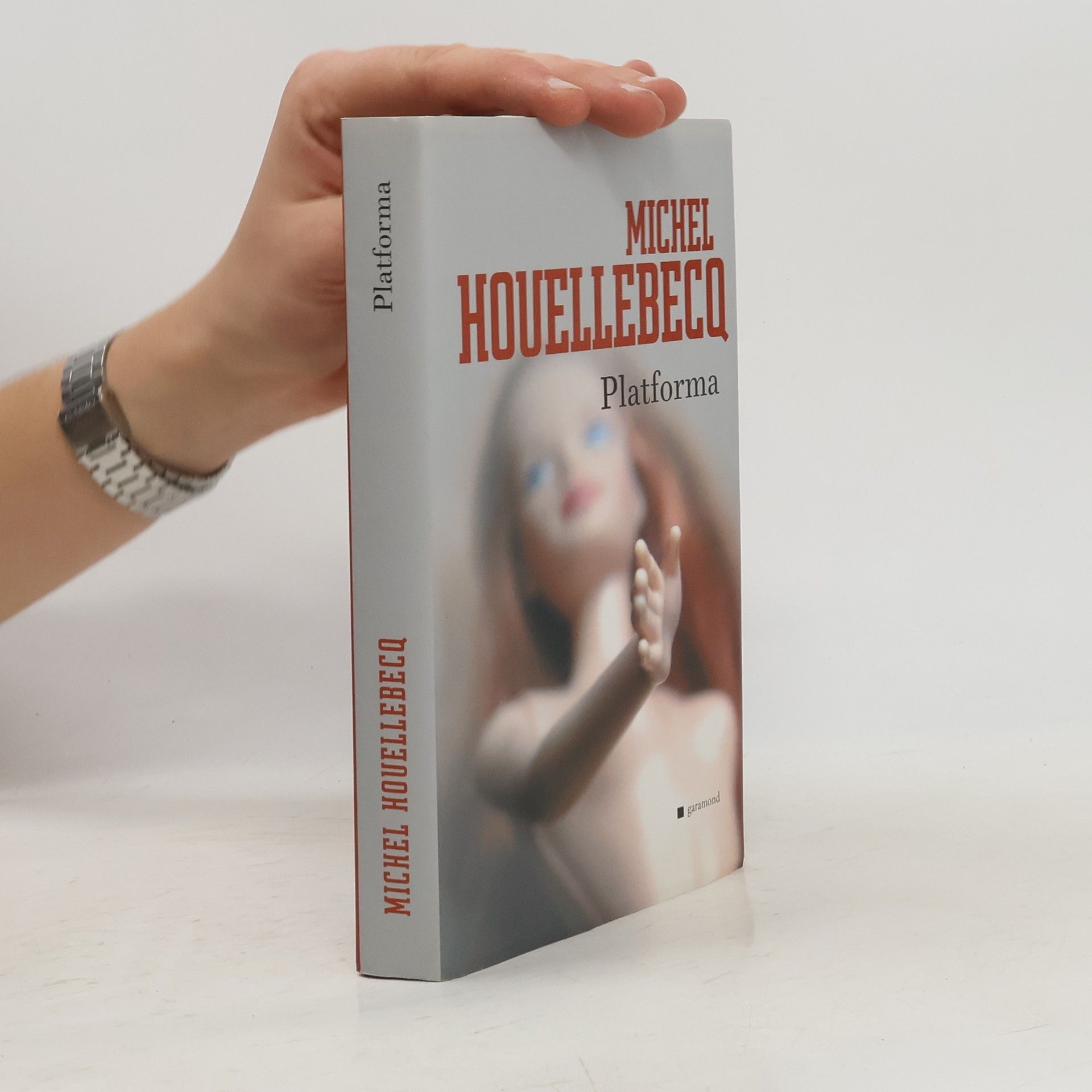 Michel Houellebecq Platforma: Uprostřed světa