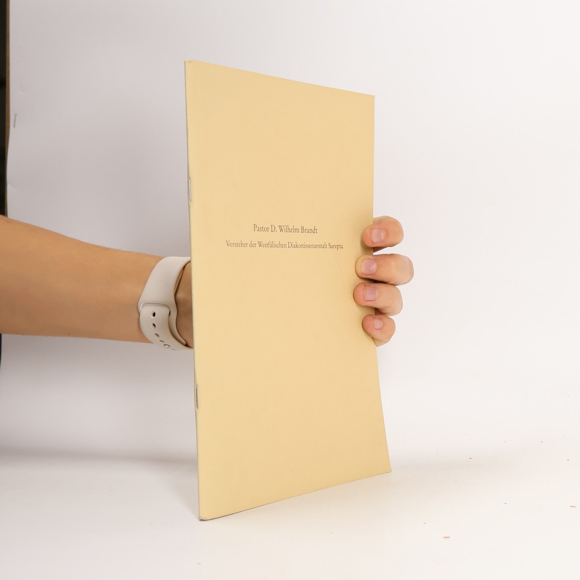AA.VV. Pastor D. Wilhelm Brandt