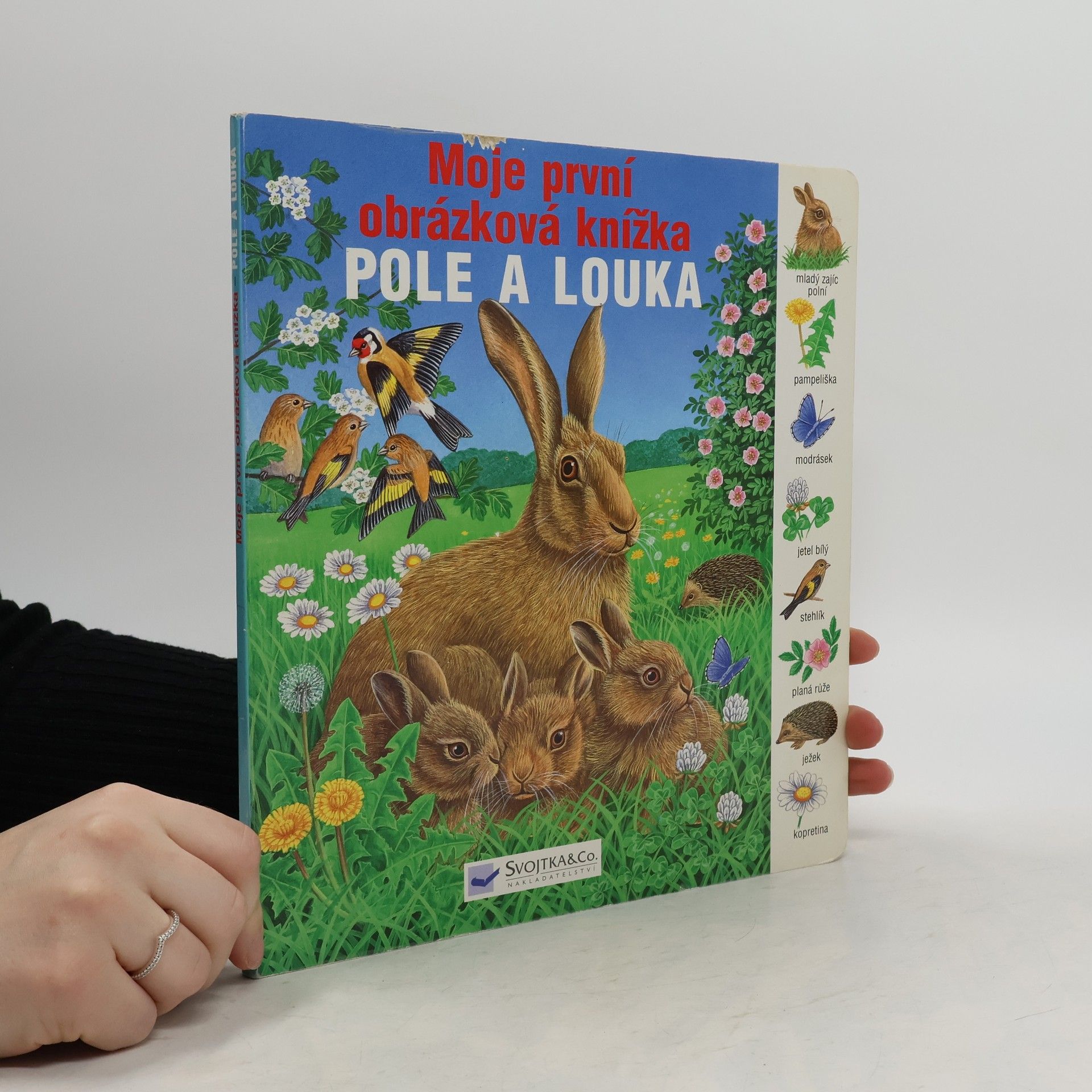 Bob Bampton Pole a louka