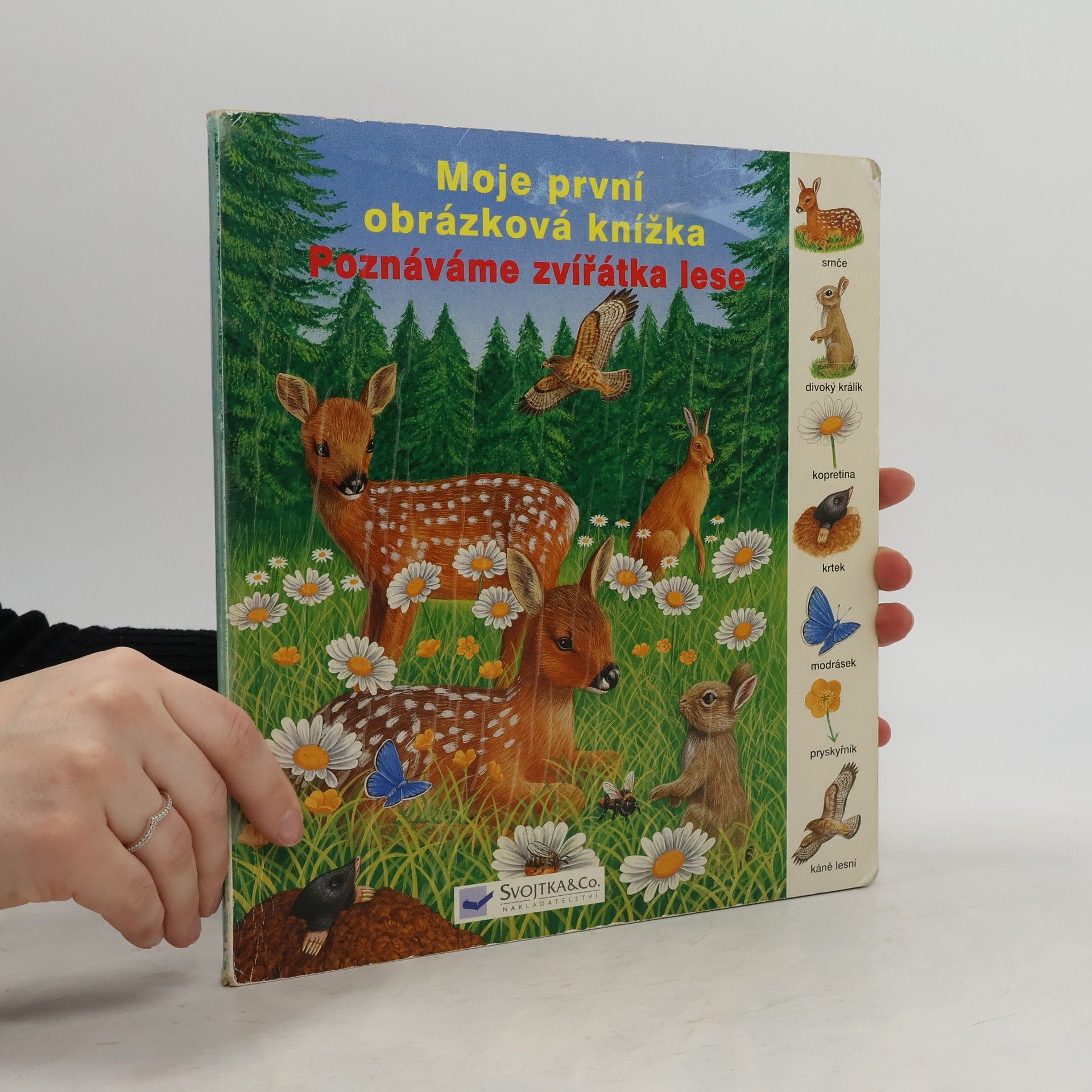 Dagmar Steidl Poznáváme zvířátka v lese