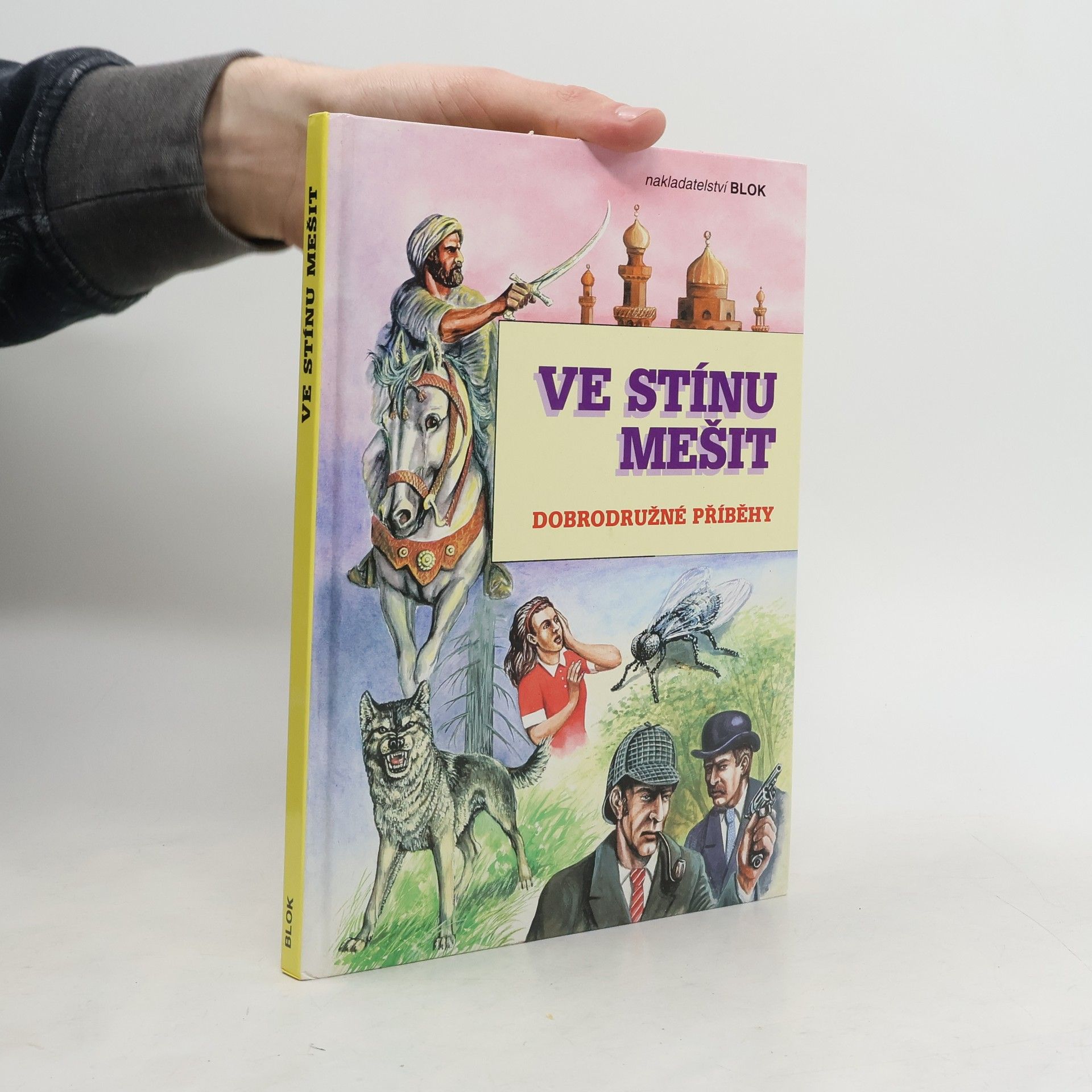 Jan Odehnal Ve stínu mešit