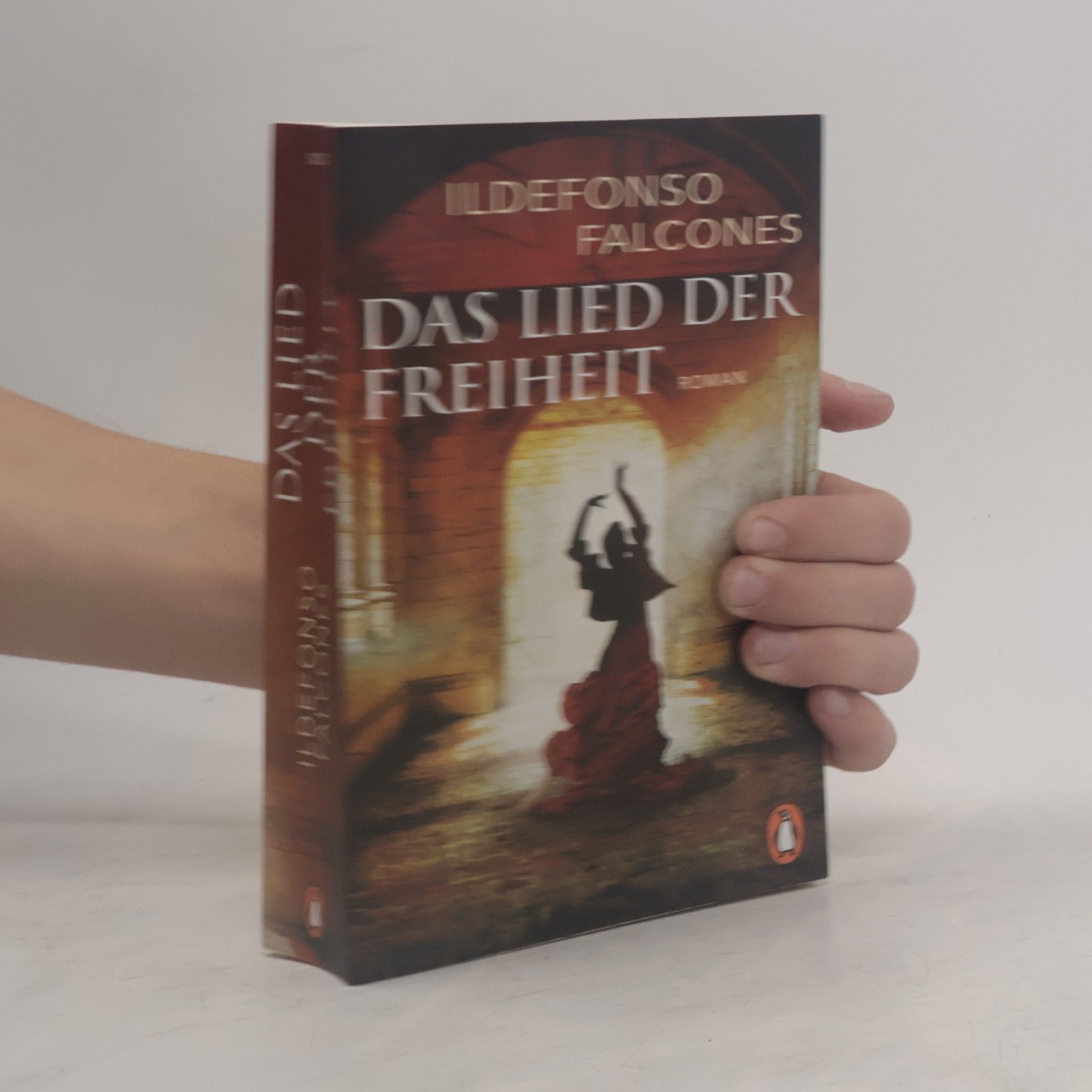 Ildefonso Falcones Das Lied der Freiheit