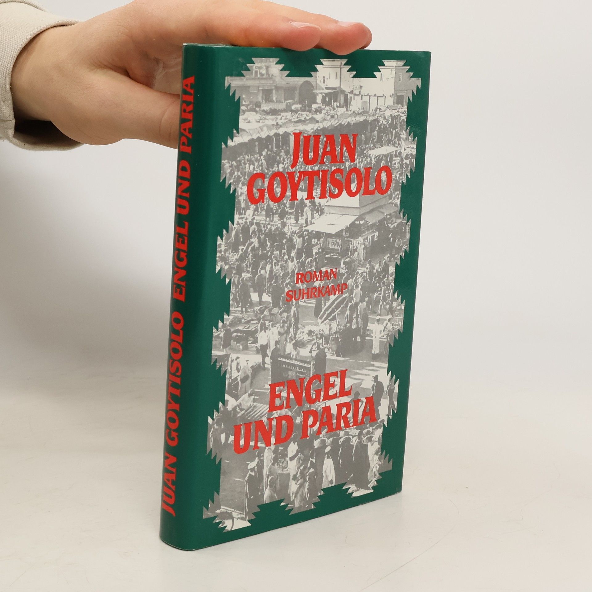Juan Goytisolo Engel und Paria. Roman