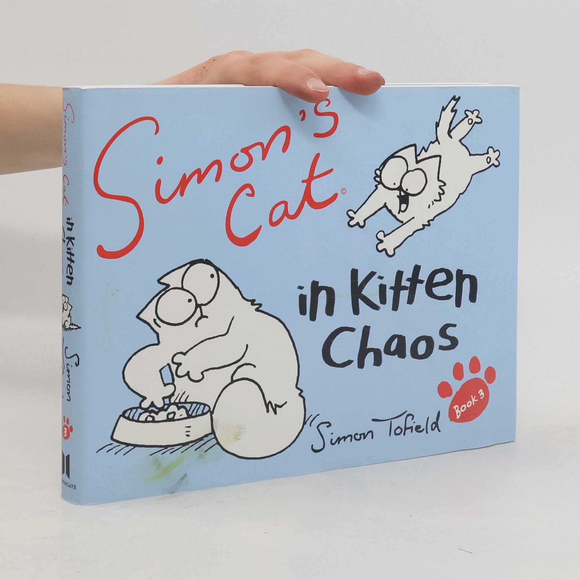Simon Tofield Simon's cat in kitten chaos