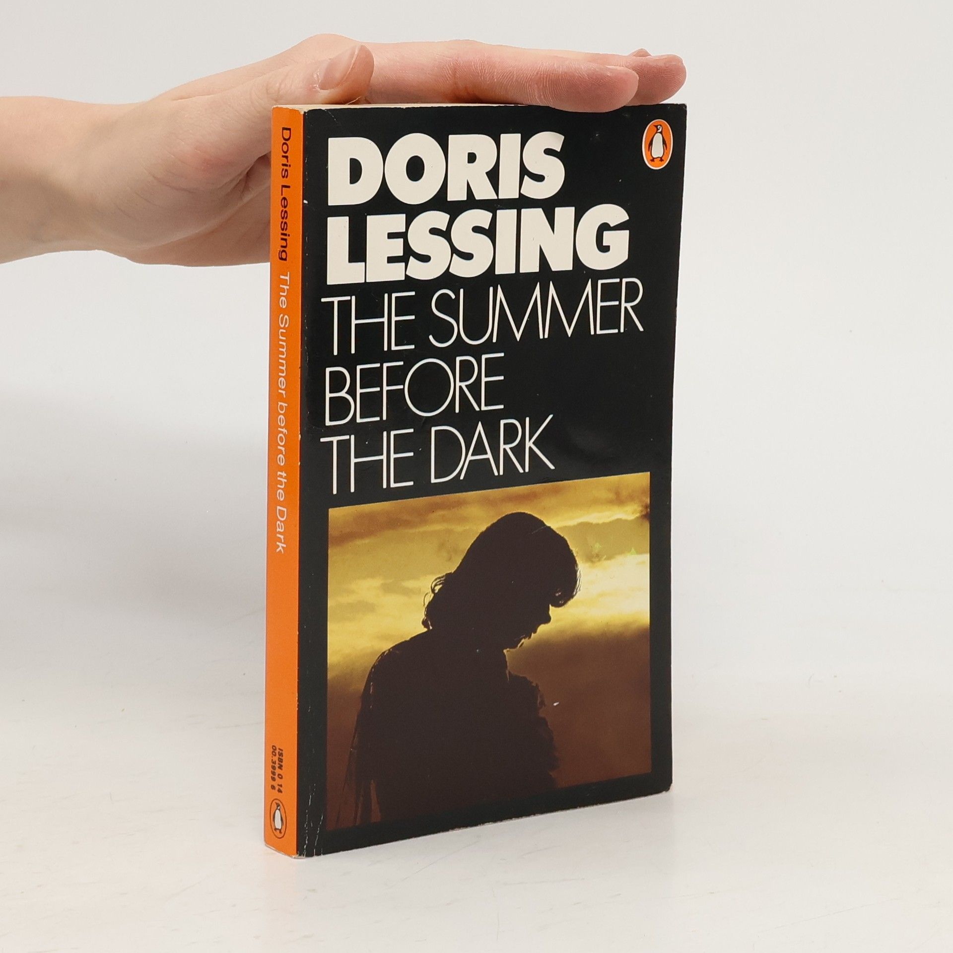Doris Lessing The Summer before the Dark