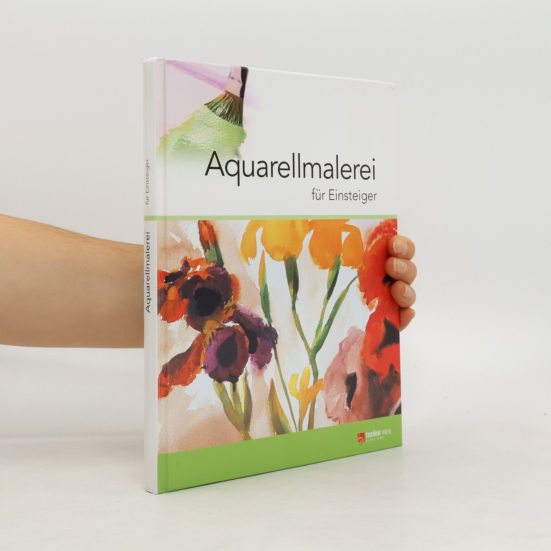 Francisco Asensio Cerver Aquarellmalerei für Einsteiger