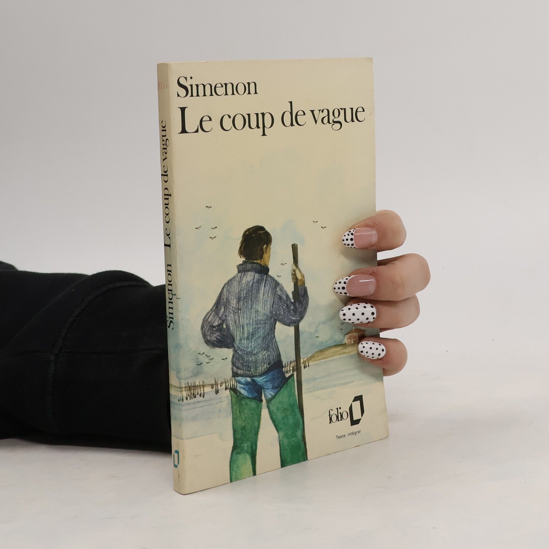 Georges Simenon Le Coup de vague