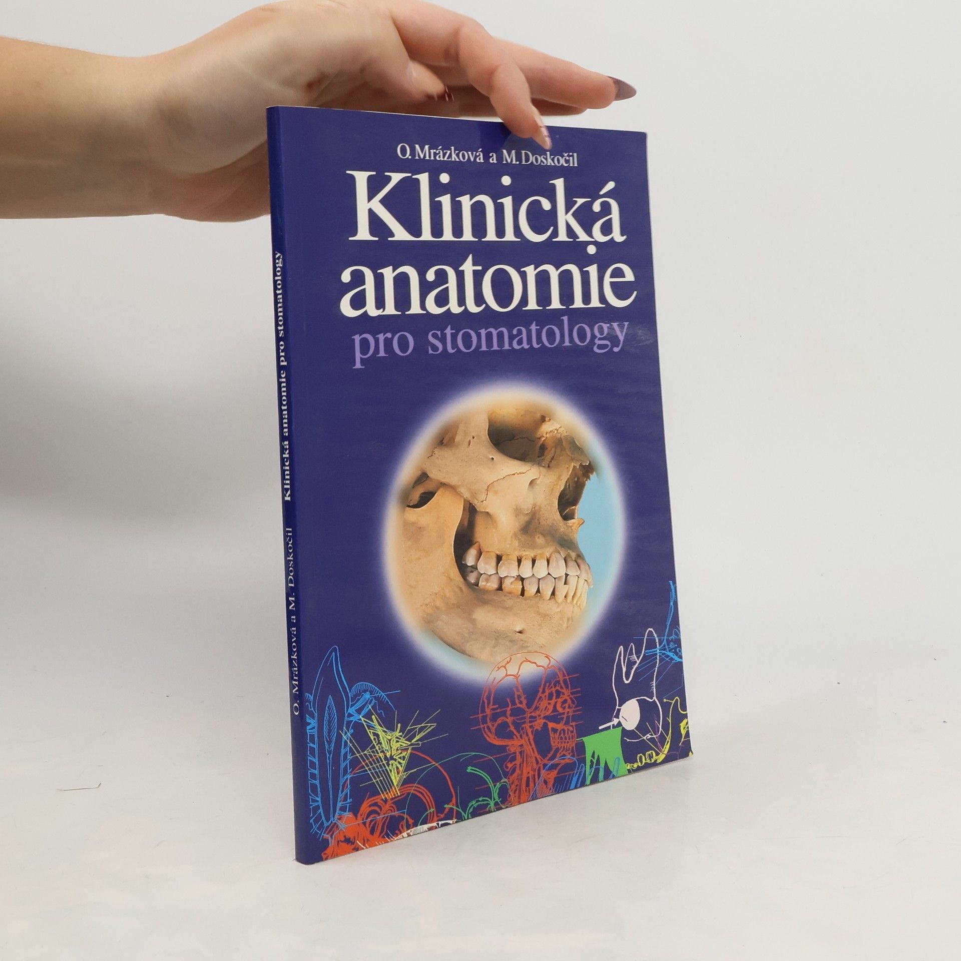 Klinická anatomie pro stomatology