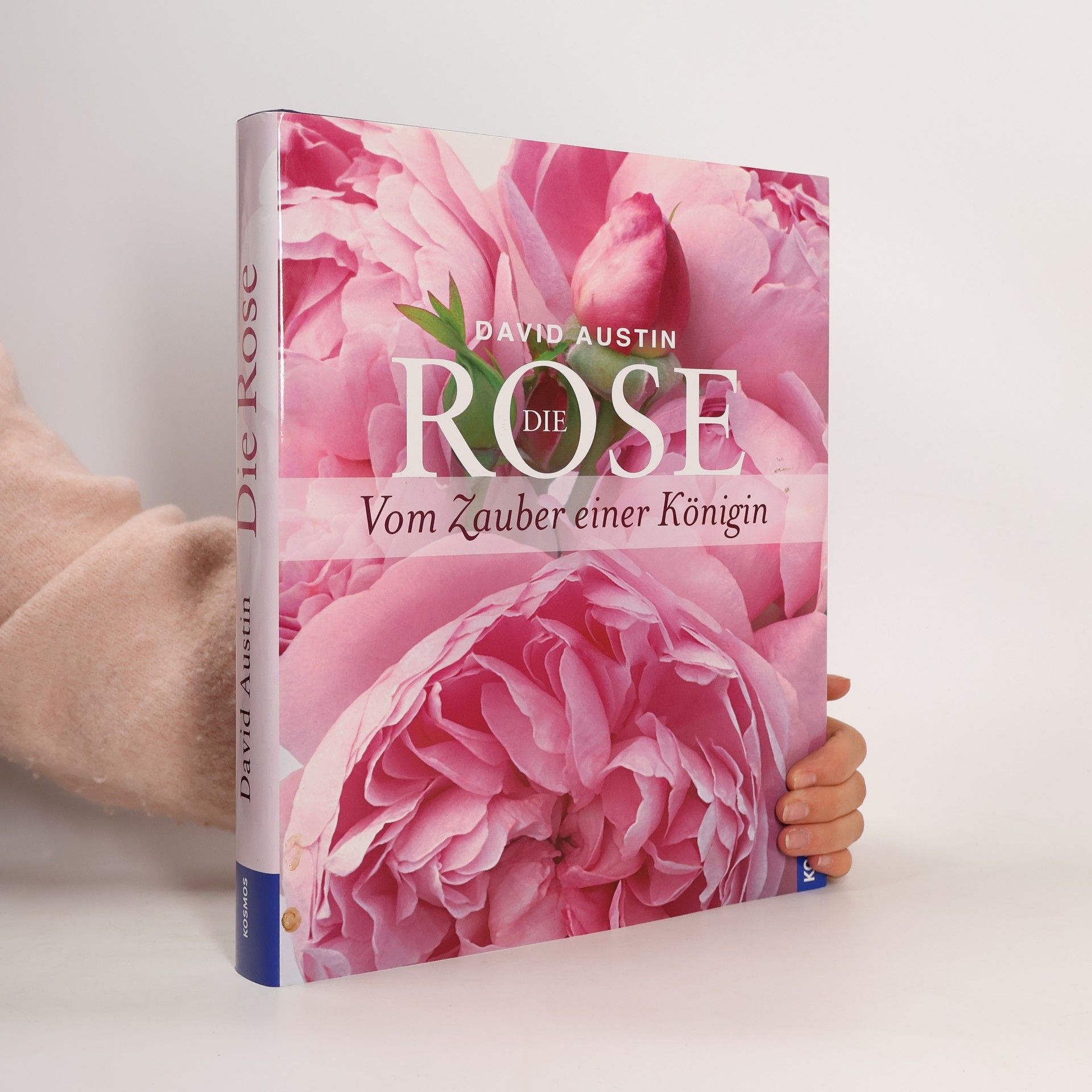 David Austin Die Rose